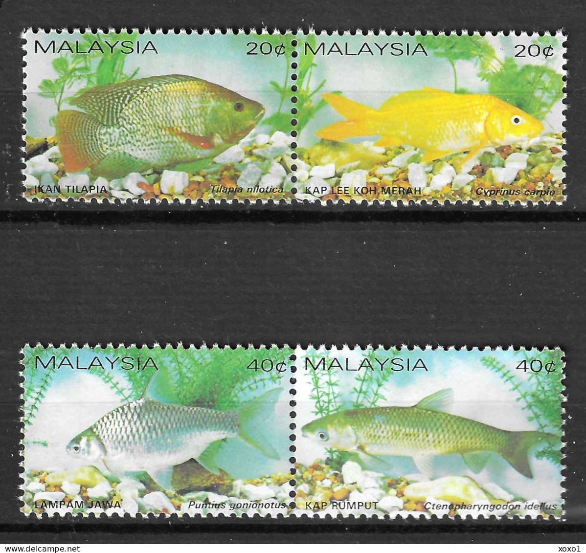 Malaysia 1983 MiNr. 258 - 261 Marine Life Fishes 4v   MNH** 12.00 € - Vissen