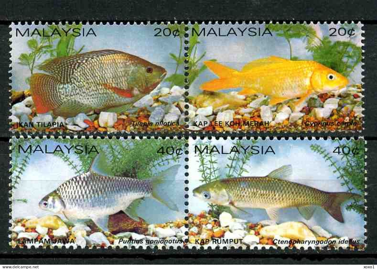 Malaysia 1983 MiNr. 258 - 261 Marine Life Fishes 4v   MNH** 12.00 € - Peces