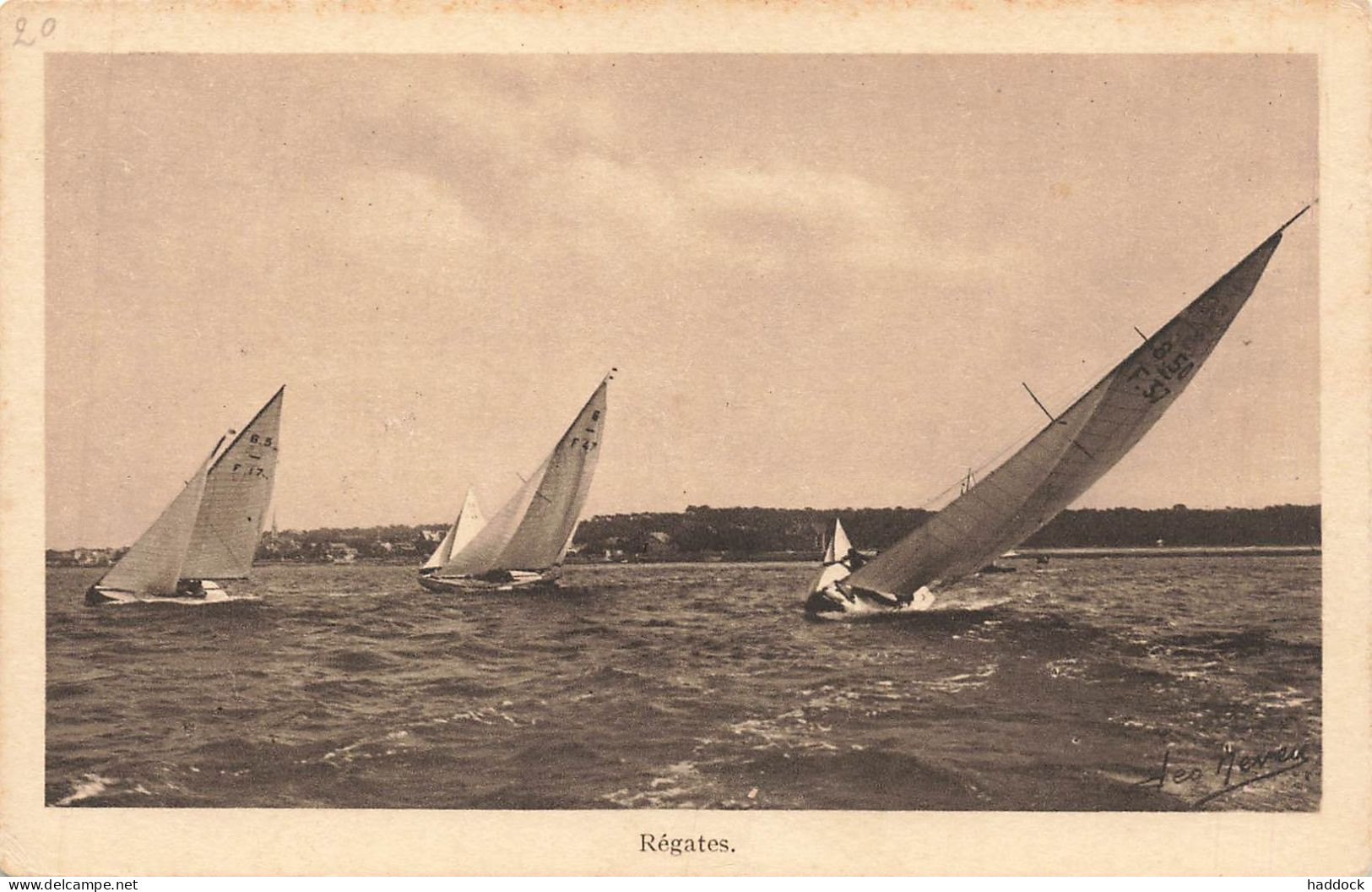 ARCACHON : REGATES - Arcachon