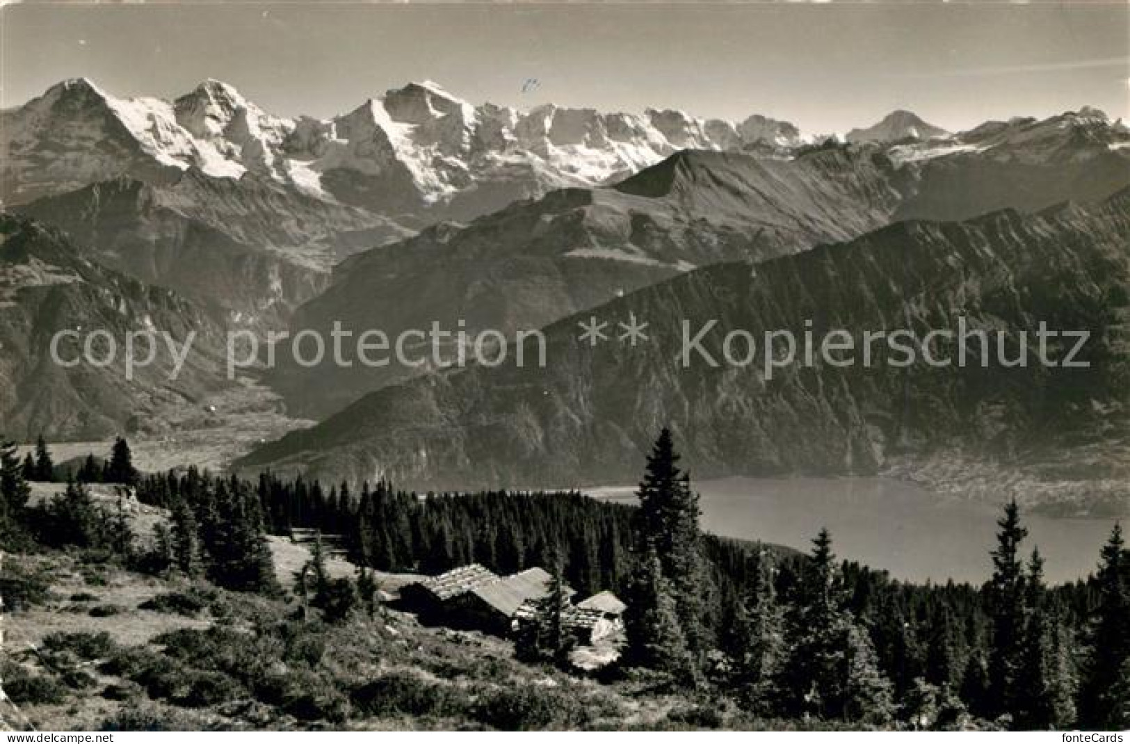 13195303 Beatenberg Thunersee Alp Burgfeld Mit Jungfraukette Beatenberg - Altri & Non Classificati