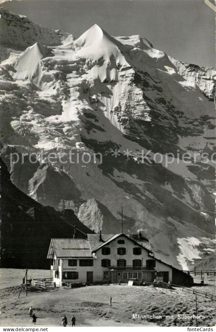 13195284 Maennlichen Mit Silberhorn Maennlichen - Sonstige & Ohne Zuordnung