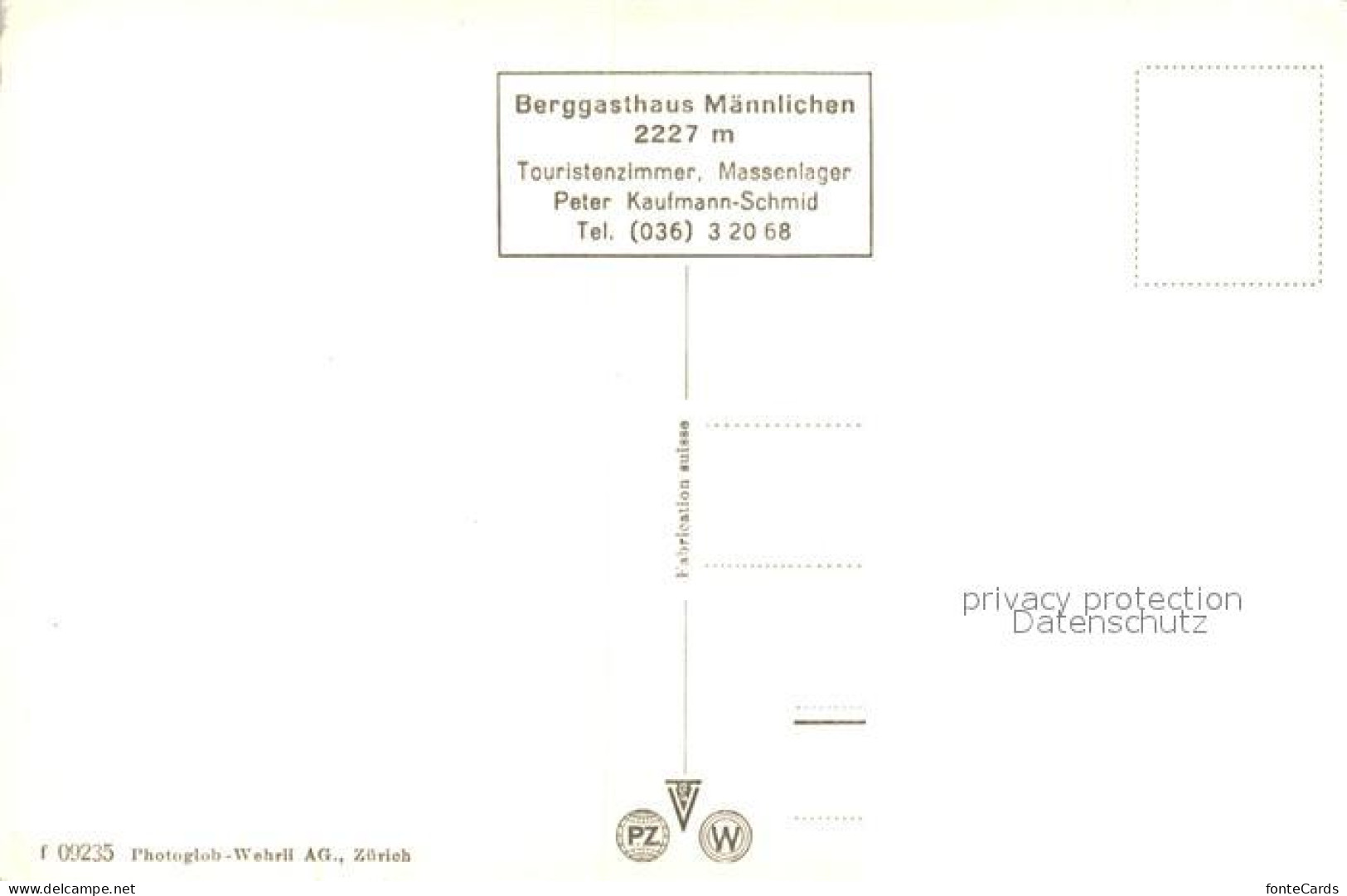 13195284 Maennlichen Mit Silberhorn Maennlichen - Altri & Non Classificati