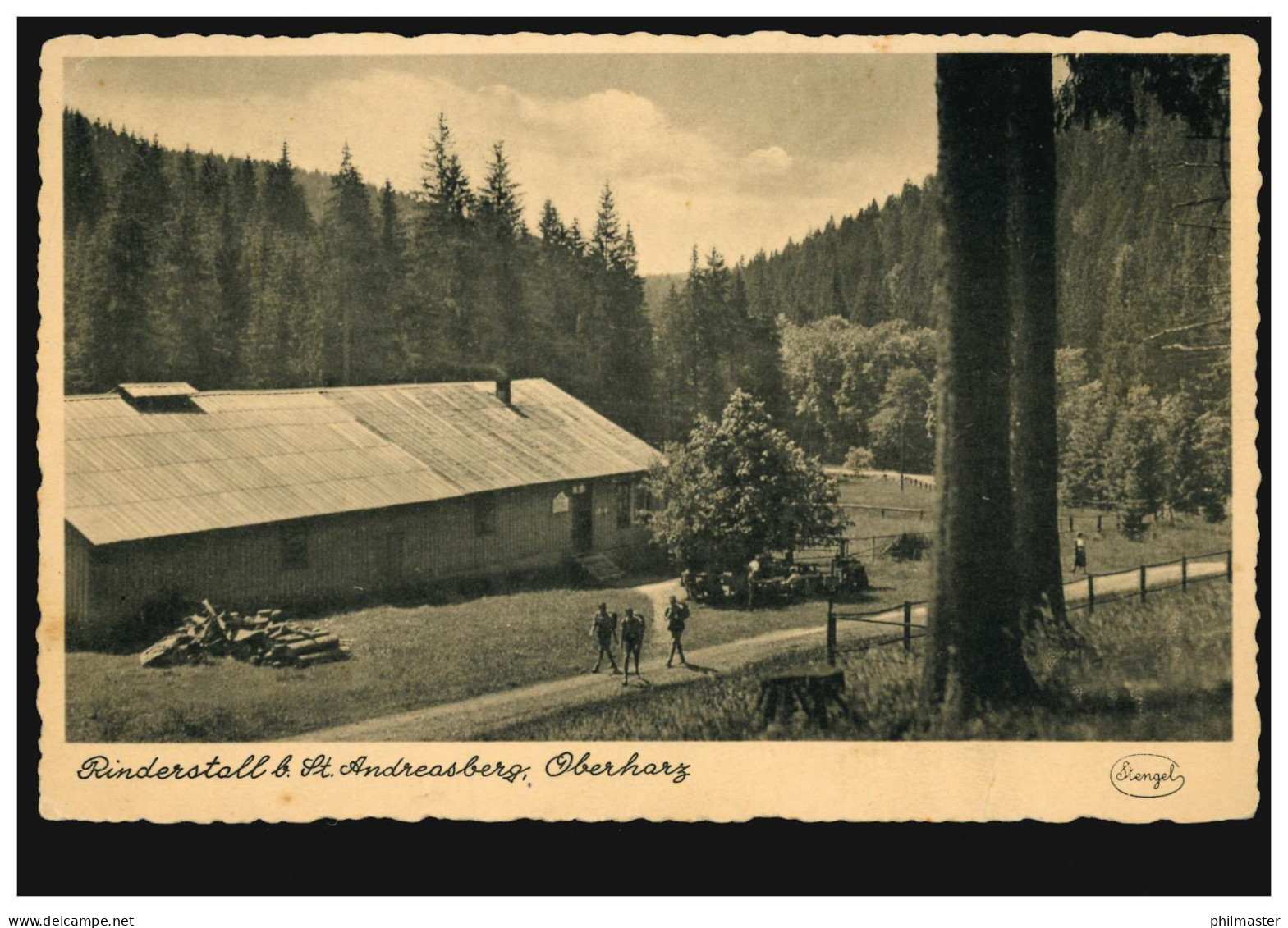 Foto-AK Rinderstall Bei Sankt Andreasberg / Oberharz, Ungebraucht, Um 1920 - Sonstige & Ohne Zuordnung