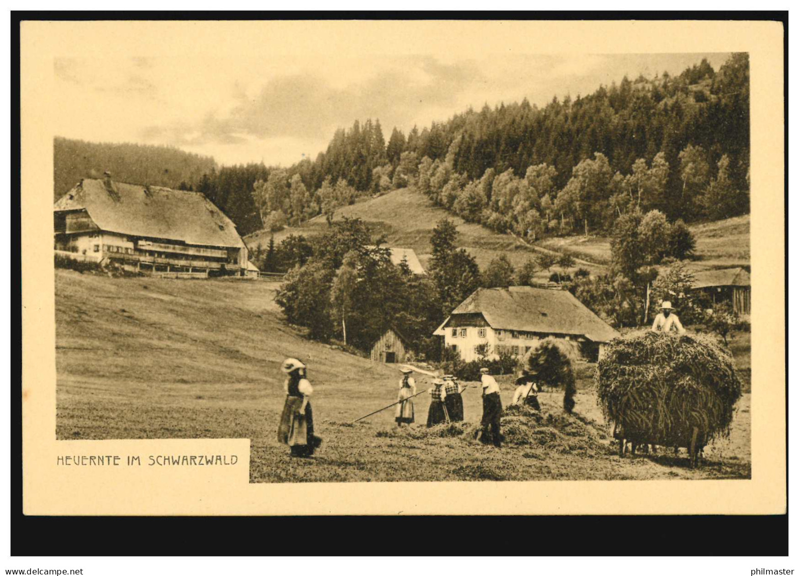 Foto-AK Heuernte Im Schwarzwald, Ungebraucht, Um 1907 - Otros & Sin Clasificación