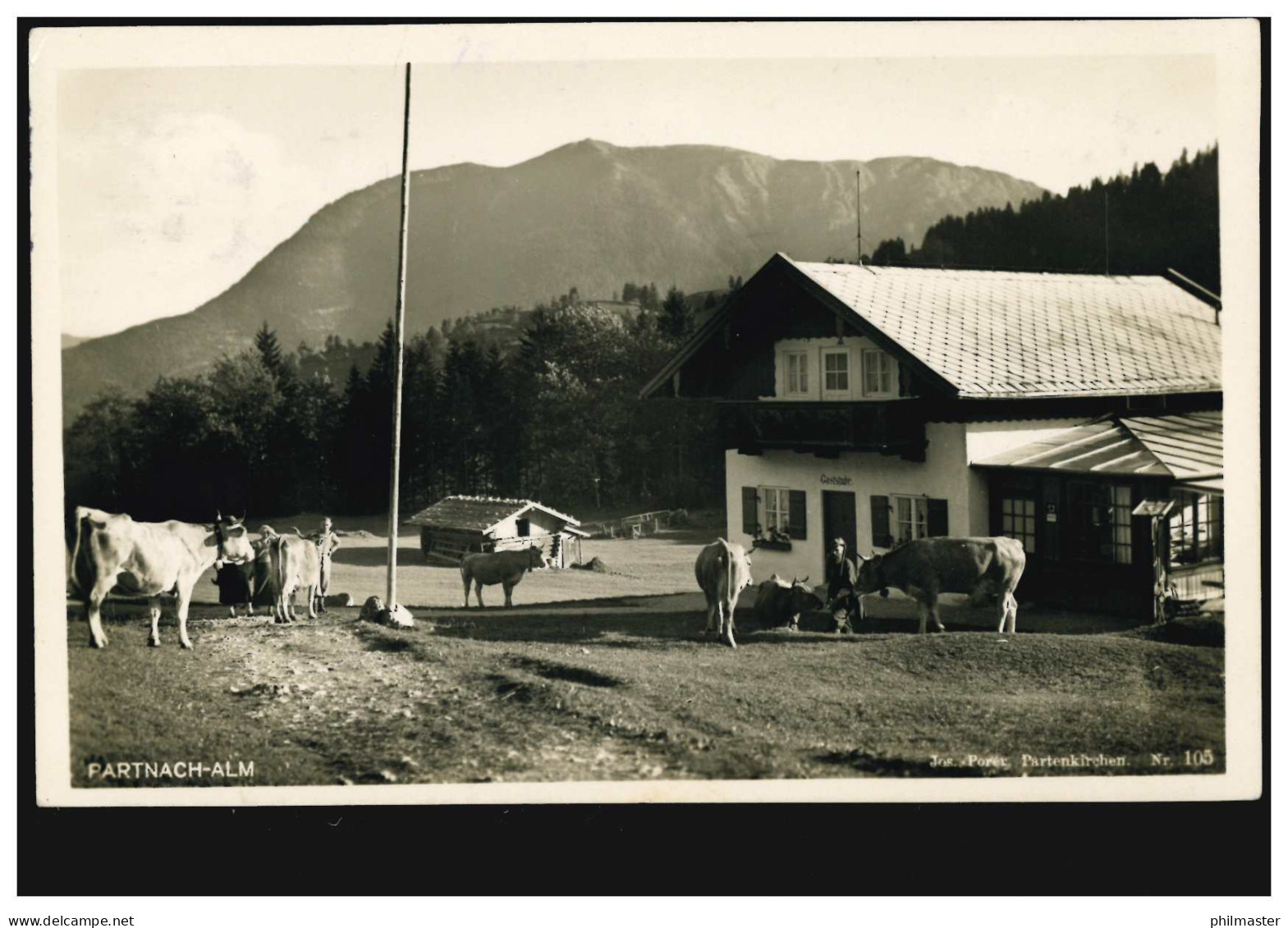 AK Partnach-Alm Mit Kühen, Olympia-Werbe-O Garmisch-Partenkirchen 18.6.1937 - Sonstige & Ohne Zuordnung