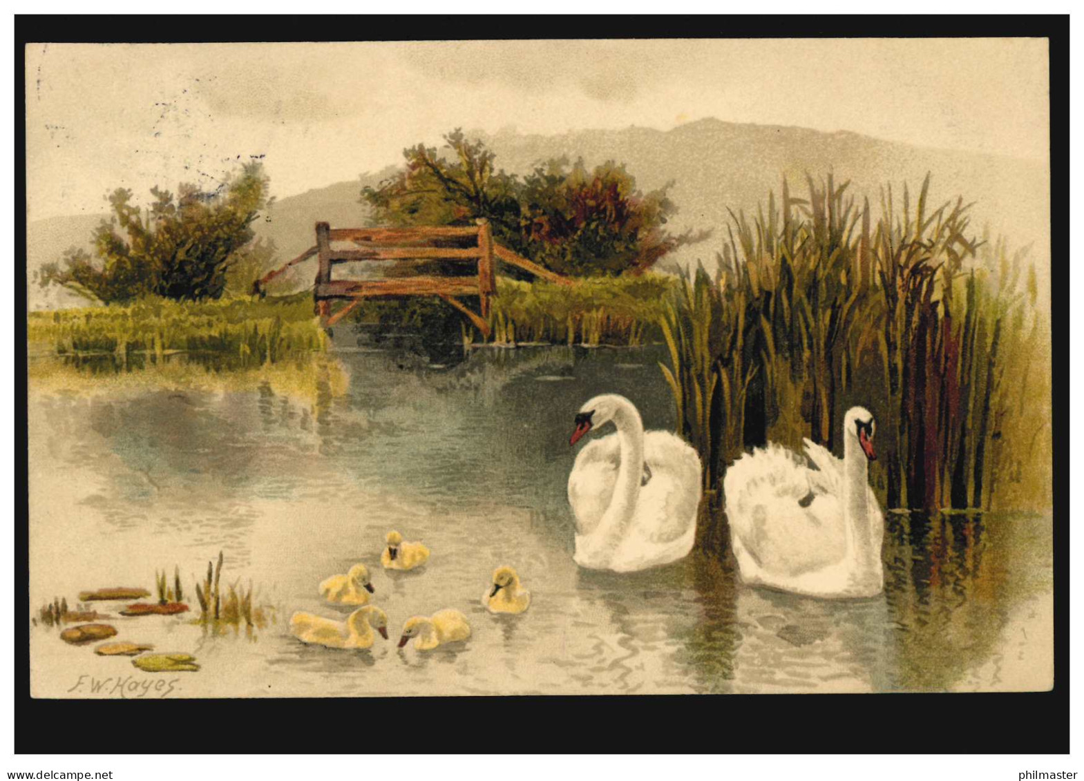 Tiere-AK Vögel - Schwanen-Paar Mit Brut Im Teich, Gelaufen 1910 - Pájaros