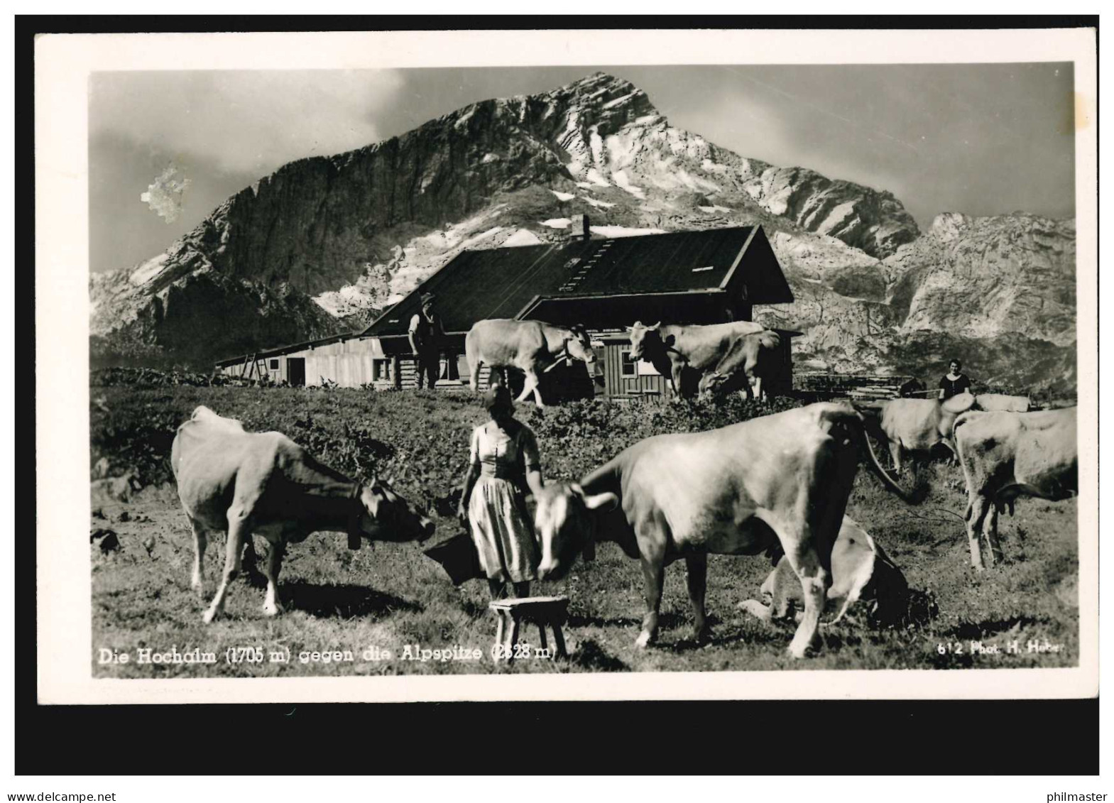 AK Die Hochalm (1705 M) Gegen Die Alpspitze (2628 M) Mit Almhütte Und Rindern - Andere & Zonder Classificatie