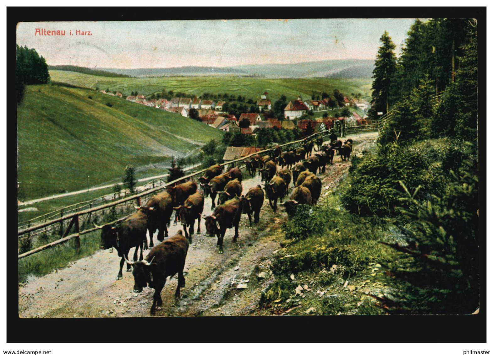 AK Altenau Im Harz: Panorama Mit Rinderherde - Viehauftrieb, CLAUSTHAL 1907  - Andere & Zonder Classificatie