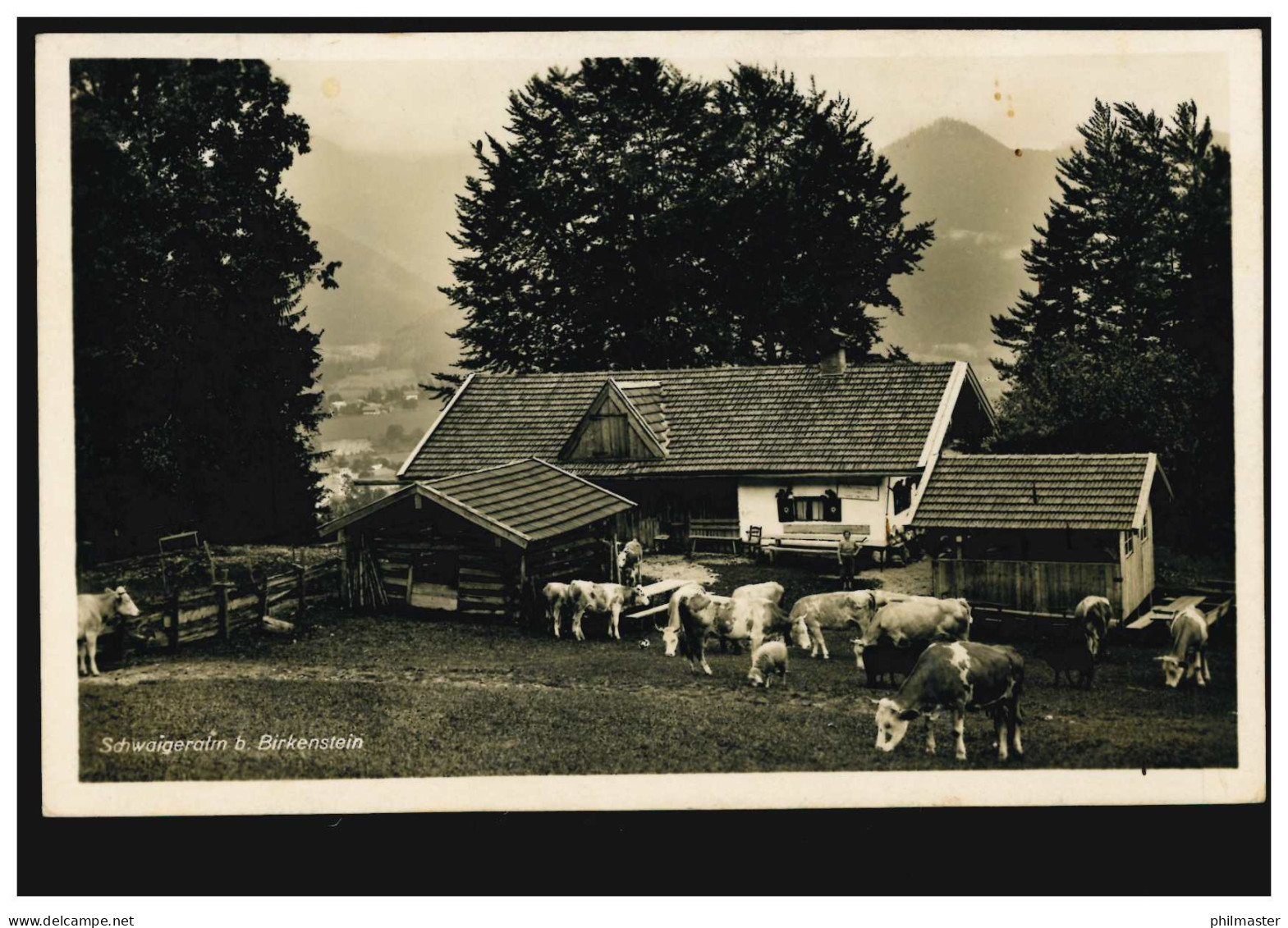 Foto-AK Schwaigeralm Bei Birkenstein Mit Rinderherde, FISCHBACH 11.8.1932 - Autres & Non Classés