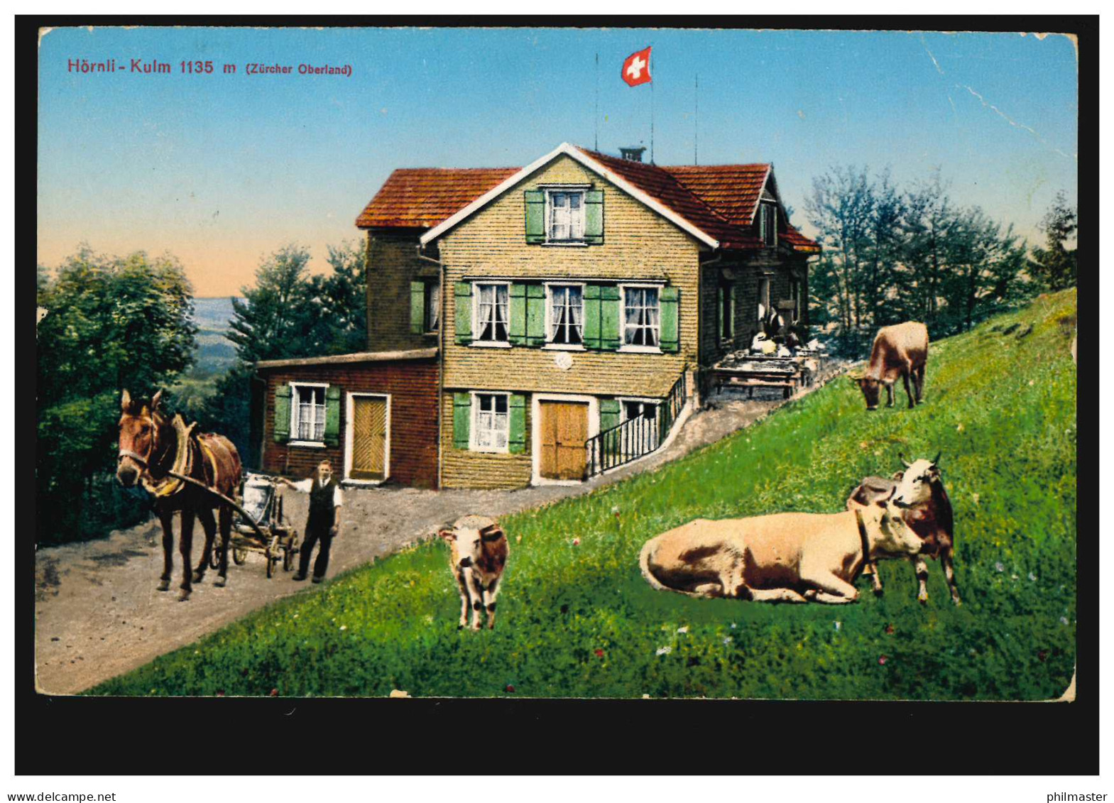 Schweiz AK Hörnli-Kulm 1135 M (Zürcher Oberland), STEG (ZÜRICH) 8.8.1921 - Altri & Non Classificati