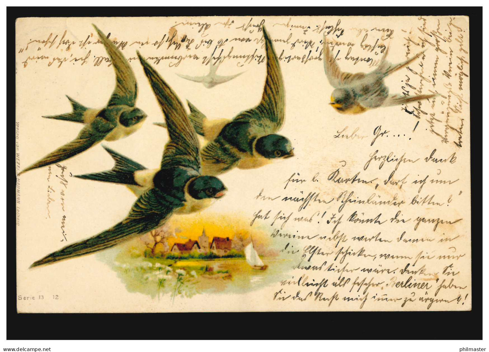 Tiere-AK Vögel: Schwalben über Landschaft, PLAUEN 25.2.1904 Nach BERLIN 26.2.04 - Birds