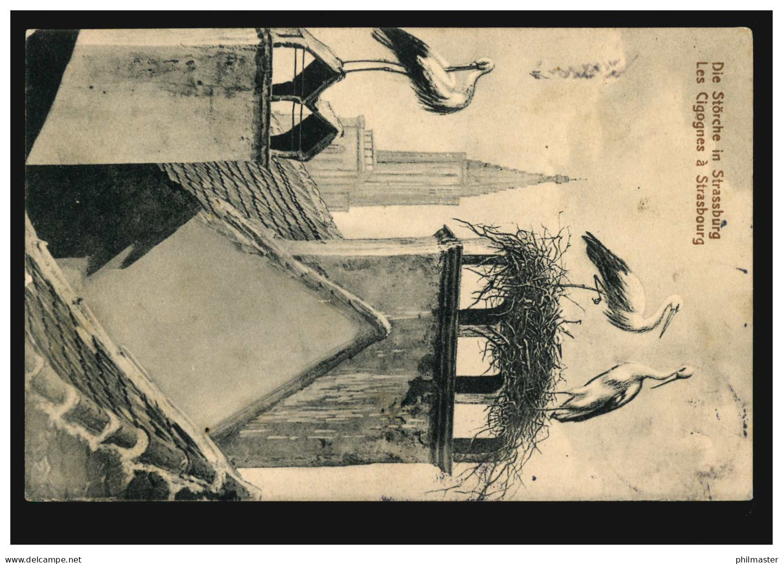Tiere-AK: Die Störche In Strassburg, Straßburg 1913 - Vögel