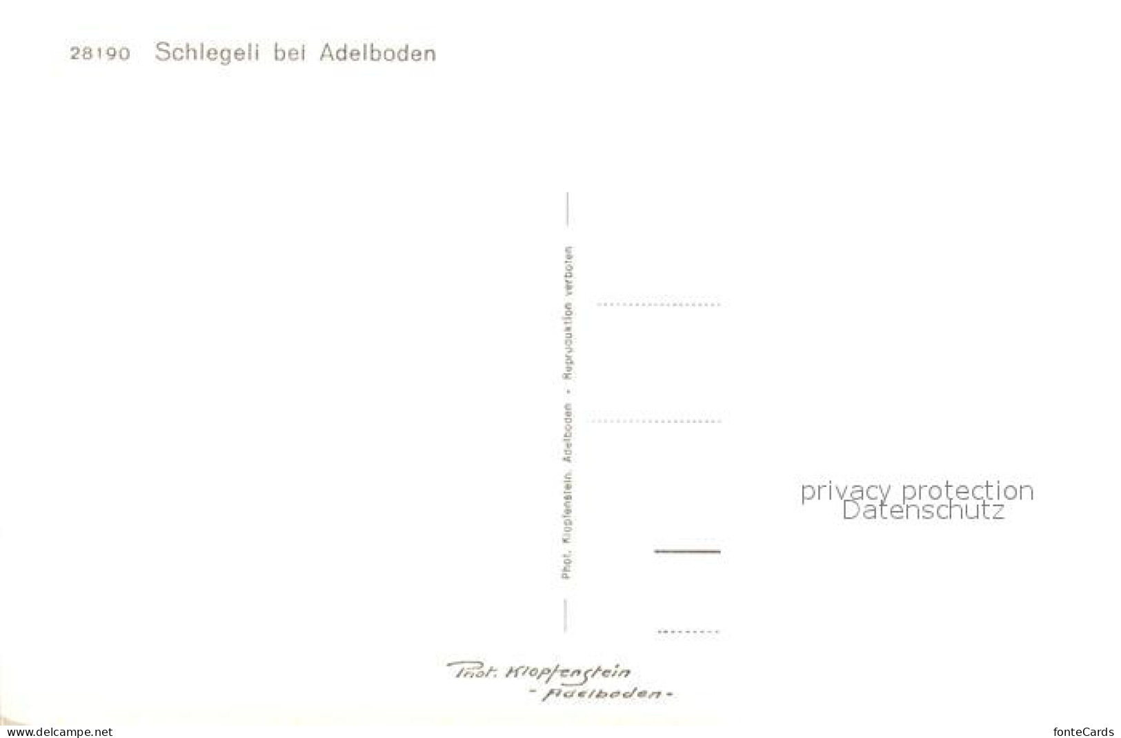 13194882 Schlegeli Fliegeraufnahme Schlegeli - Altri & Non Classificati