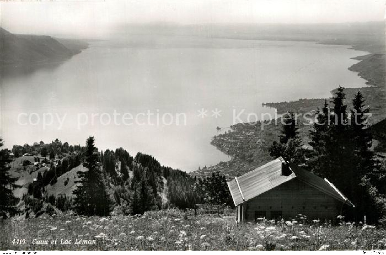 13193040 Caux VD Lac Leman Caux VD - Altri & Non Classificati