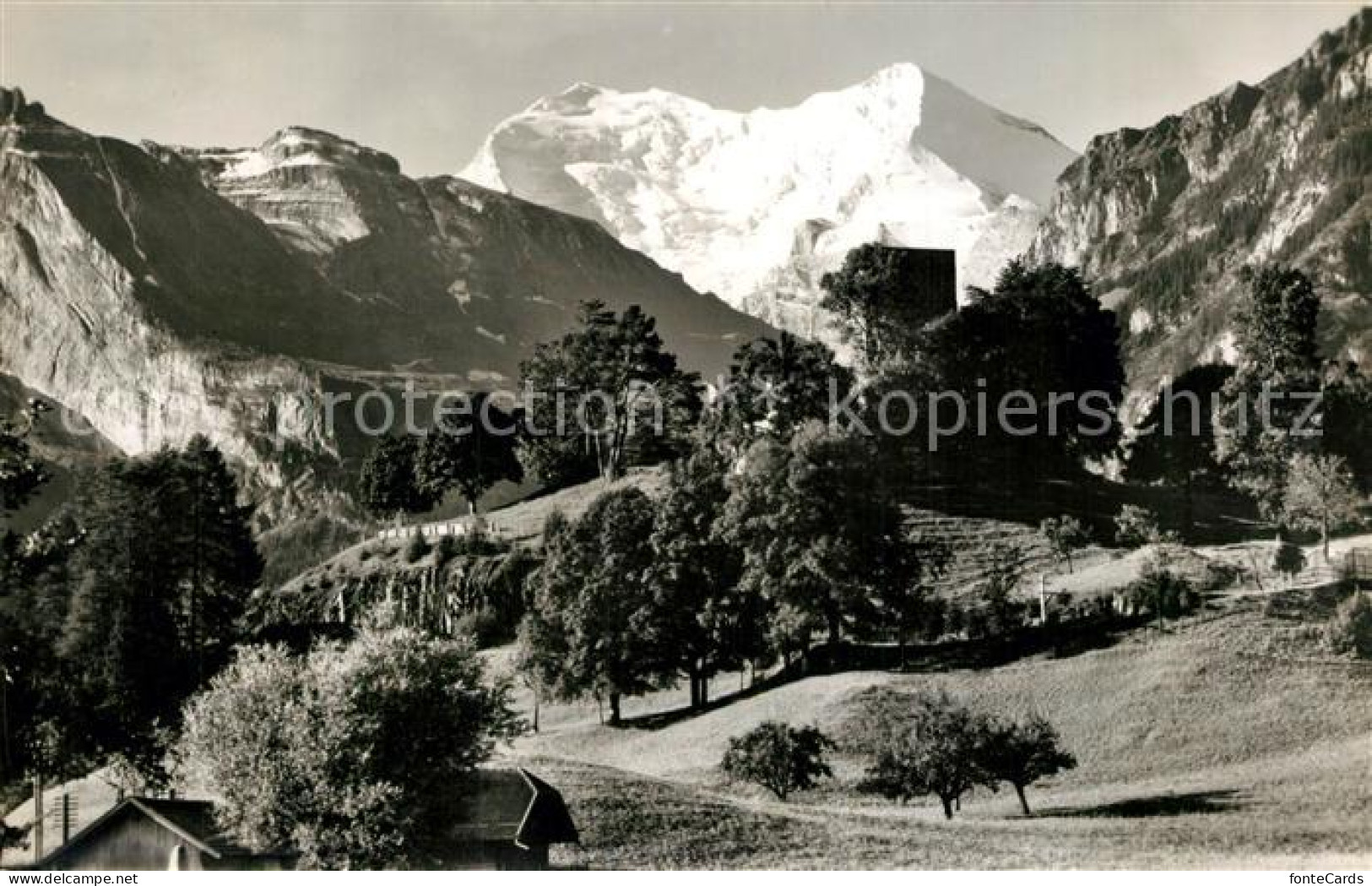 13193008 Frutigen BE Tellenburg Fisistock Balmhorn Altels Frutigen BE - Altri & Non Classificati