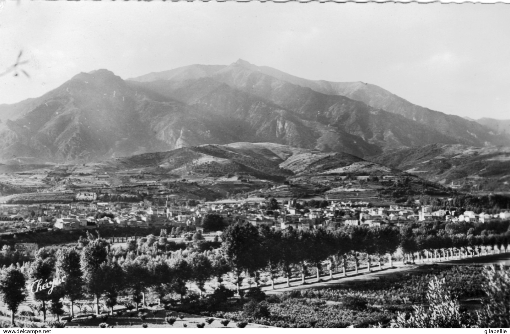 66 - Pyrenees Orientales -  PRADES - Vue Generale Et Massif Du Canigou - Prades