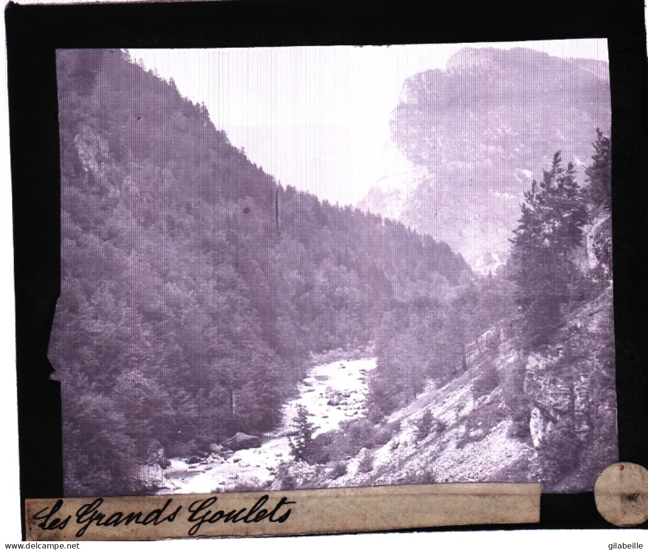 PLAQUE DE VERRE Photo  - Les Alpes - Le Vercors - Les Grands Goulets -   Année  1890 - Glasdias