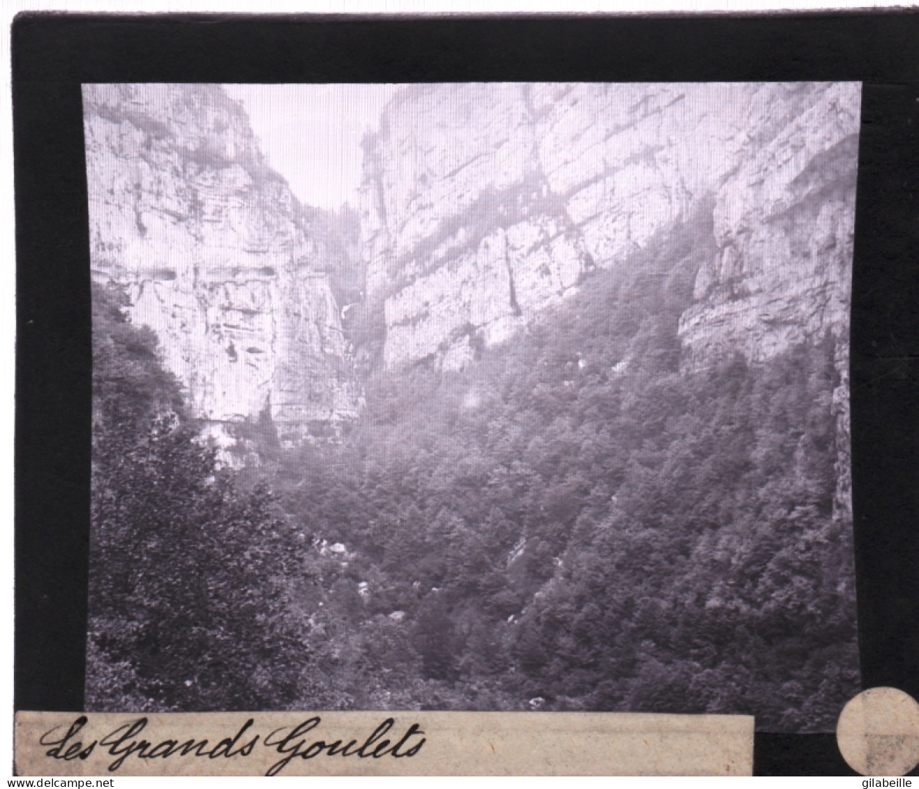 PLAQUE DE VERRE Photo  - Les Alpes - Le Vercors - Les Grands Goulets -   Année  1890 - Glasdias