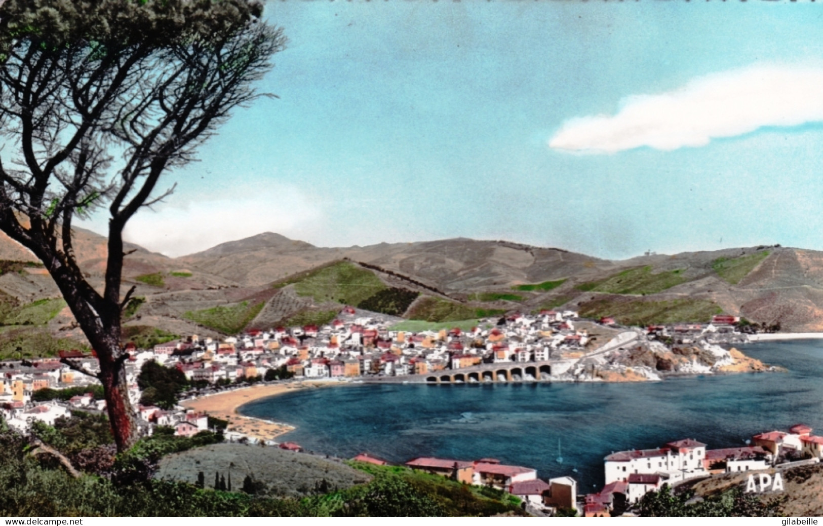 66 - BANYULS Sur MER - Vue Panoramique Sur La Rade Et La Plage - Banyuls Sur Mer