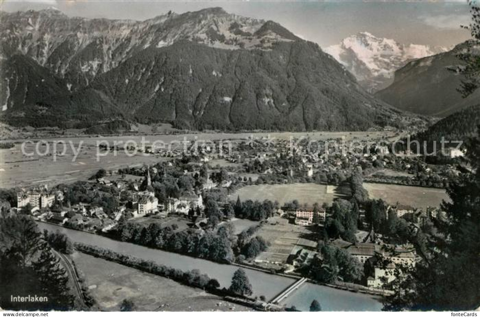 13192024 Interlaken BE Schynige Platte Mit Jungfrau Interlaken BE - Altri & Non Classificati