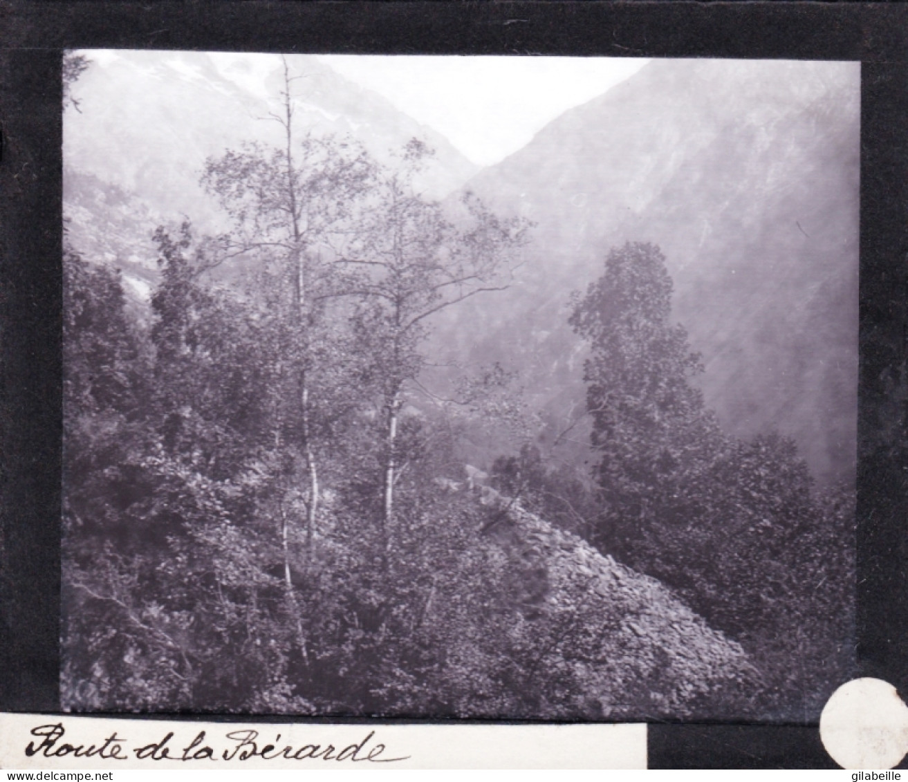 PLAQUE DE VERRE -  Photo - Les Alpes -route De La BERARDE ( Saint-Christophe-en-Oisans )  - Année  1890 - Glasplaten