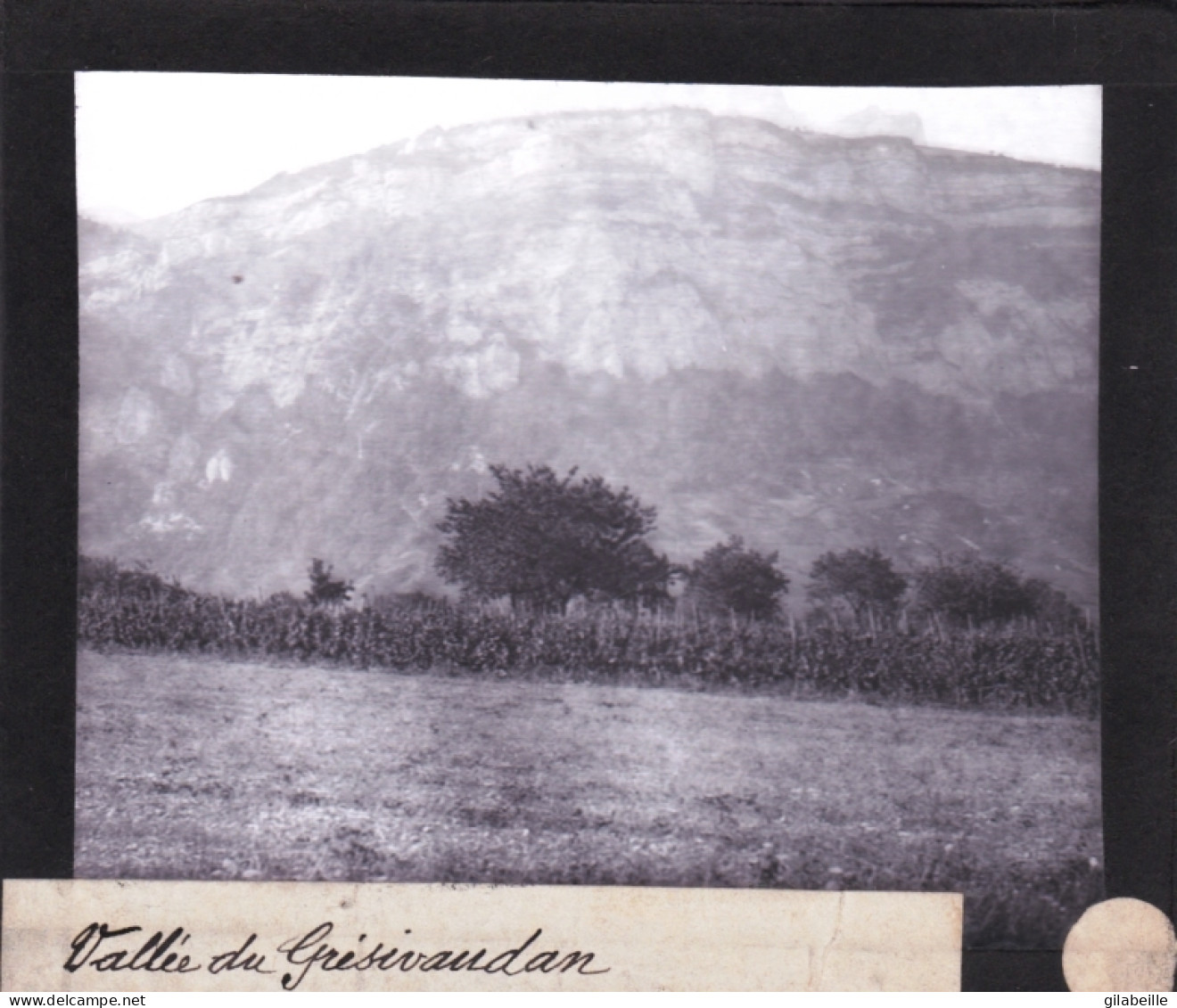 PLAQUE DE VERRE -  Photo  - 38 - Isere - Vallée De GRESIVAUDAN -  Année 1890 - Glass Slides