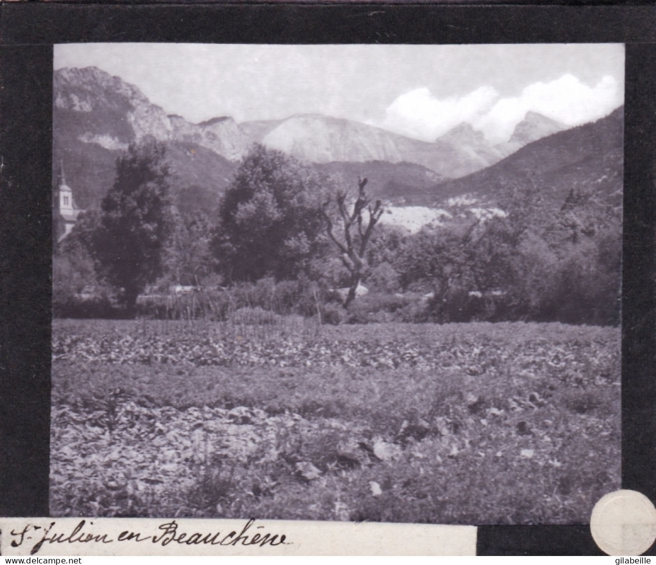 PLAQUE DE VERRE -  Photo - 05 - Hautes Alpes - SAINT JULIEN En BEAUCHENE-  Année 1890 - Glass Slides