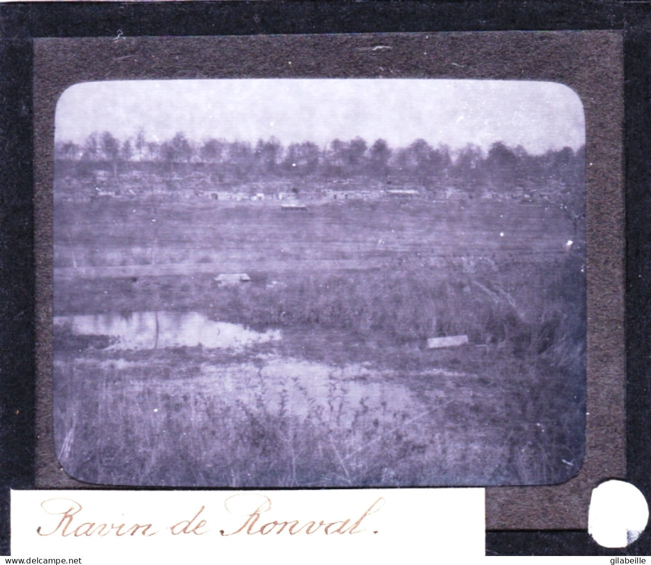 PLAQUE DE VERRE -  Photo  - 55 - Meuse - Ravin De RONVAL -  Année 1890 - Glasdias