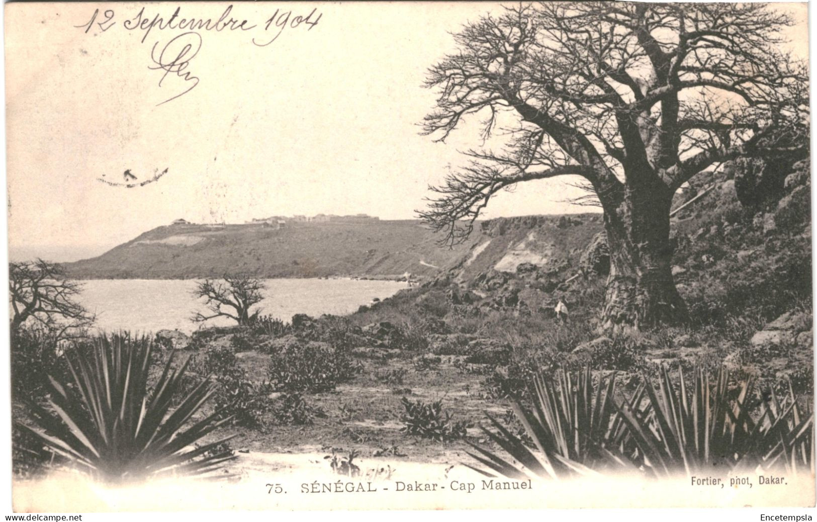 CPA Carte Postale Sénégal Dakar Cap Manuel 1904 VM80084ok - Senegal