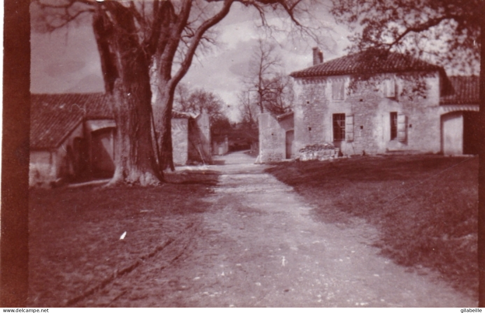 Photo Originale - Année 1905 - CAUZAC ( Lot Et Garonne ) Entrée Du Chateau - Lugares