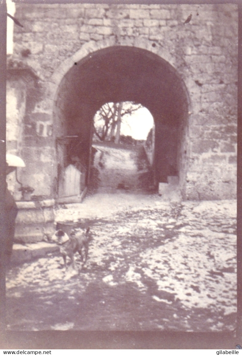 Photo Originale - Année 1905 - CAUZAC ( Lot Et Garonne ) Entrée Du Chateau - Lugares