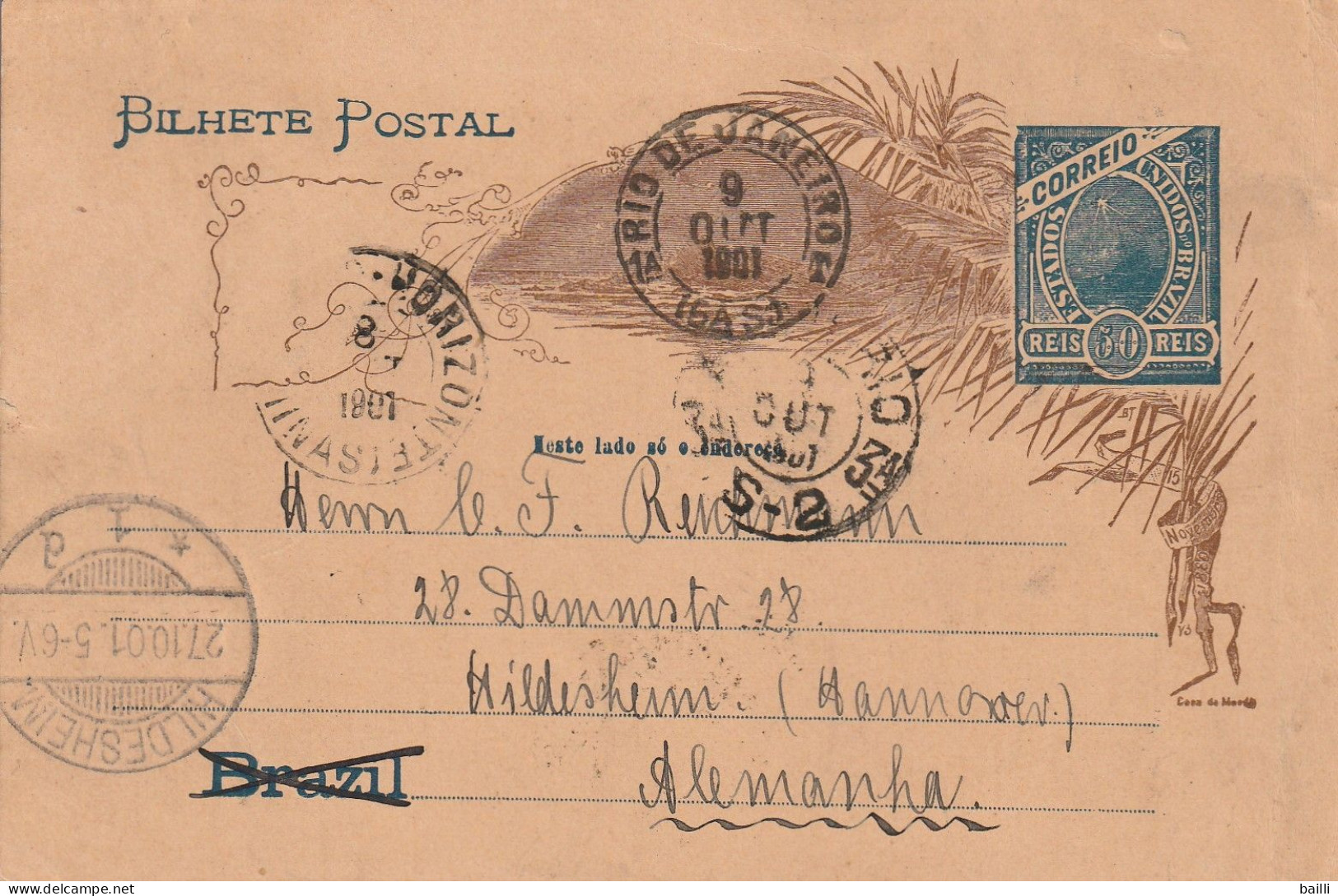 Brésil Entier Postal Illustré Pour L'Allemagne 1901 - Postal Stationery