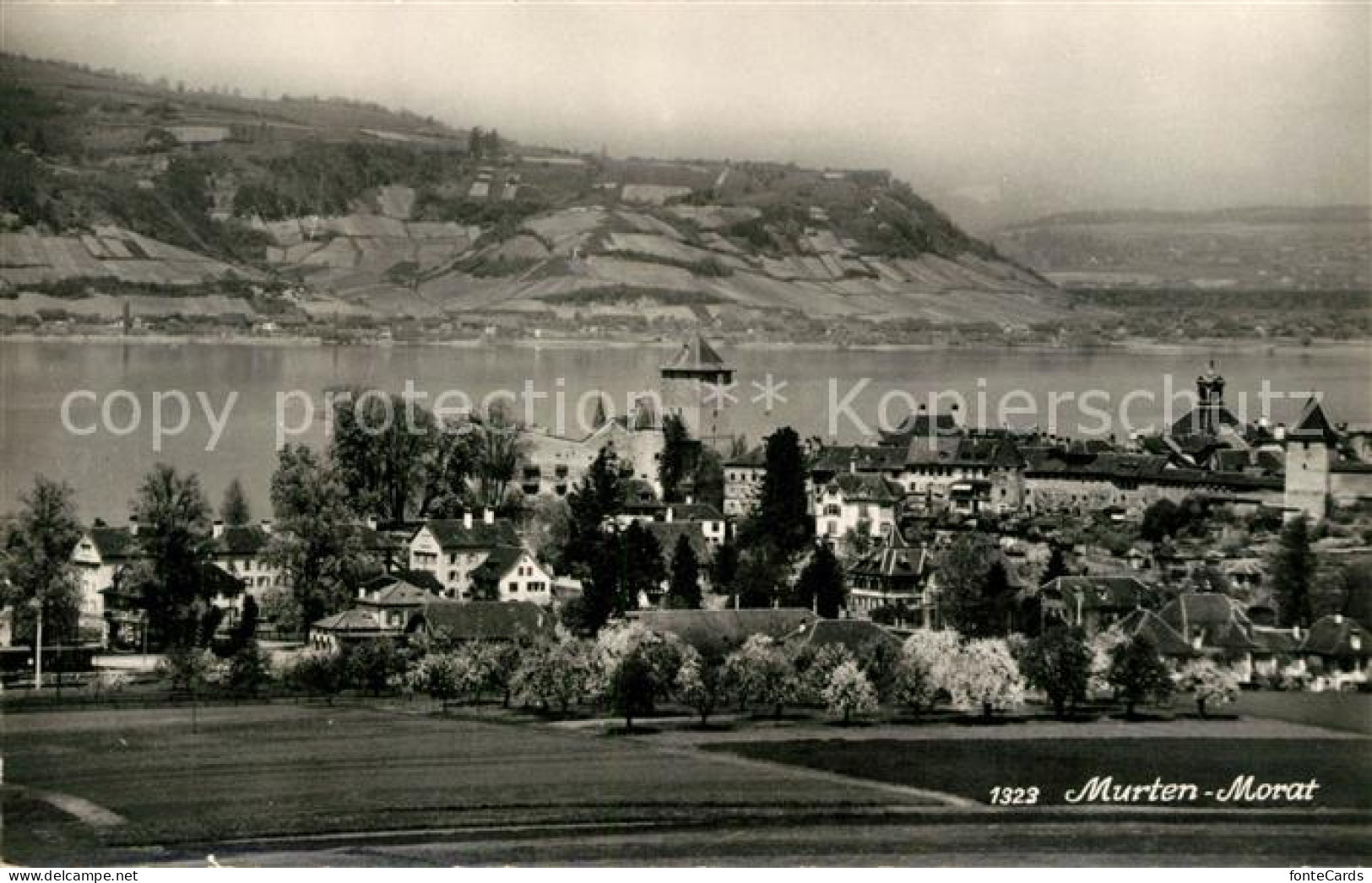 13191371 Murten Morat Panorama Burg Murten Morat - Sonstige & Ohne Zuordnung