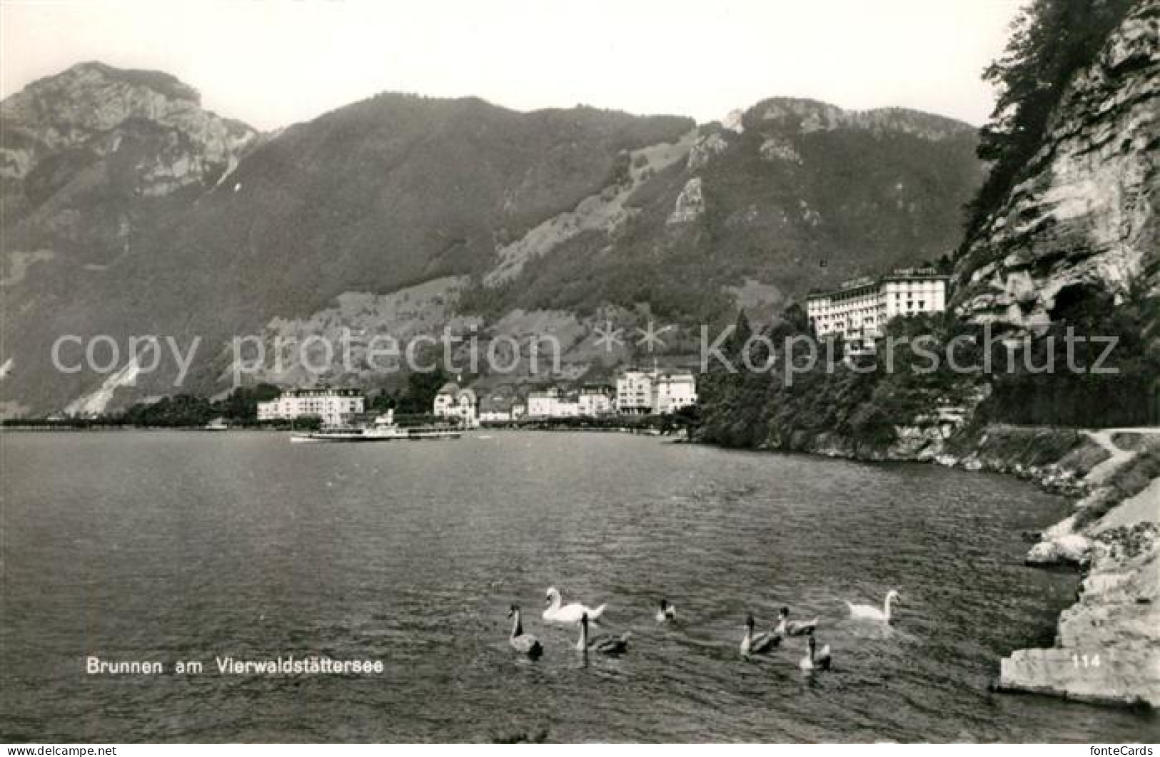 13191370 Brunnen Vierwaldstaettersee SZ Schwaene Panorama Brunnen Vierwaldstaett - Sonstige & Ohne Zuordnung