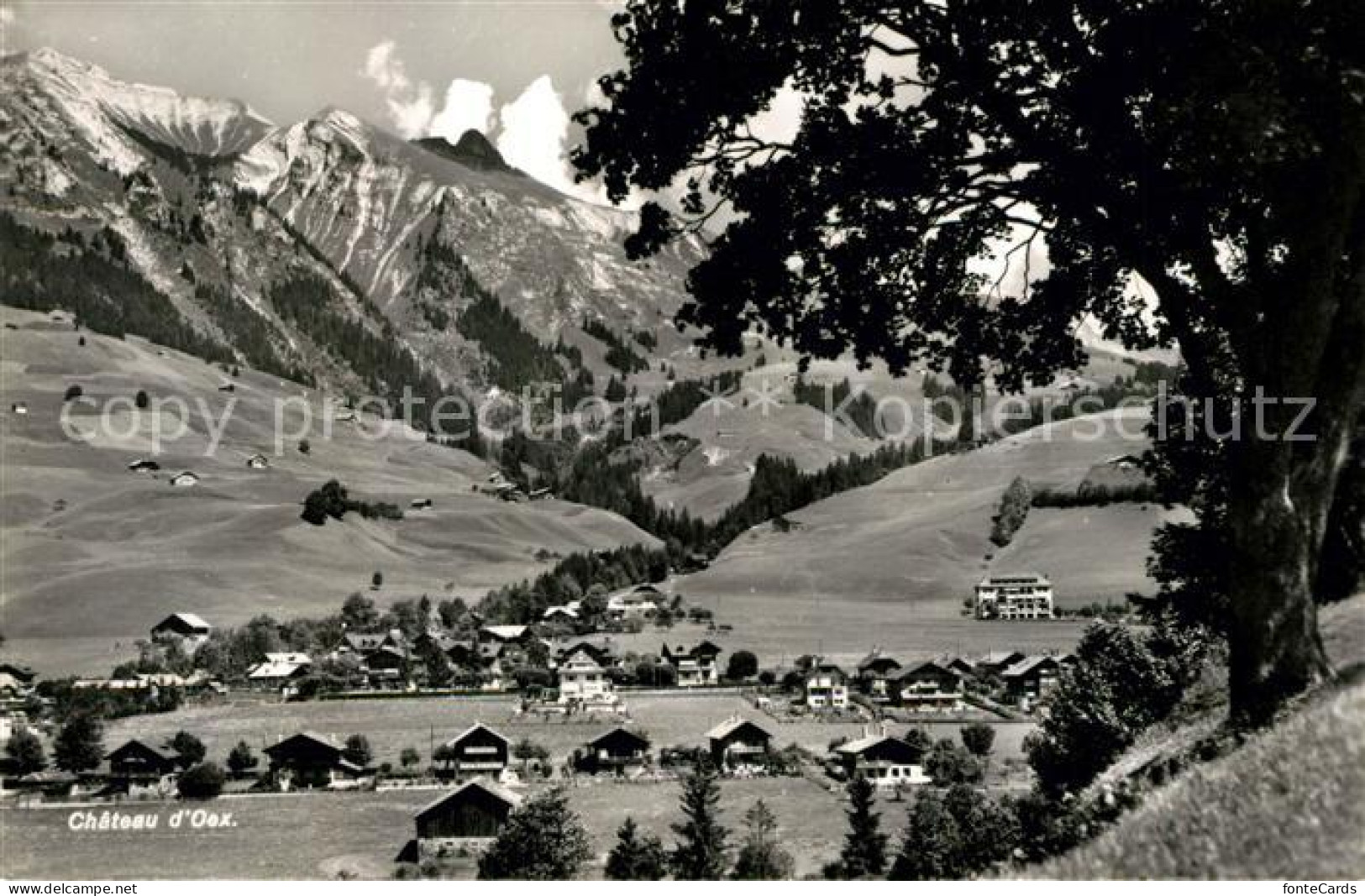 13191354 Chateau-d Oex Panorama Chateau-d Oex - Sonstige & Ohne Zuordnung