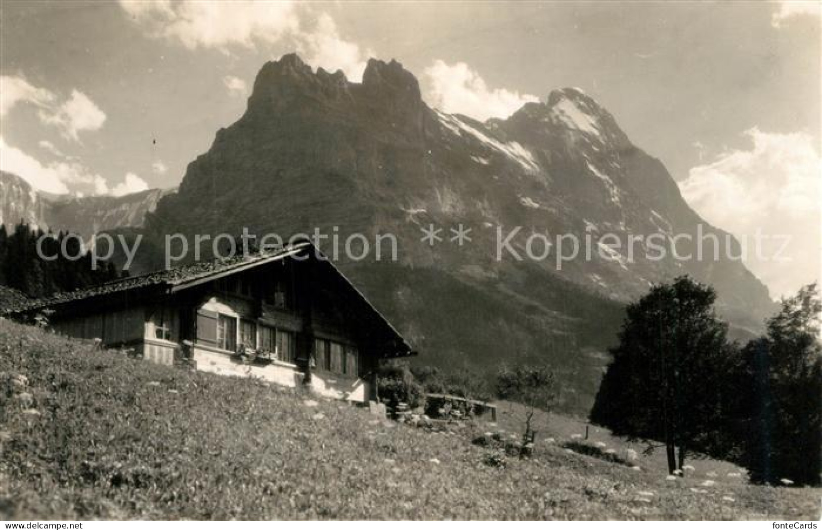 13190563 Grindelwald Mit Hoernli Und Eiger Grindelwald - Other & Unclassified