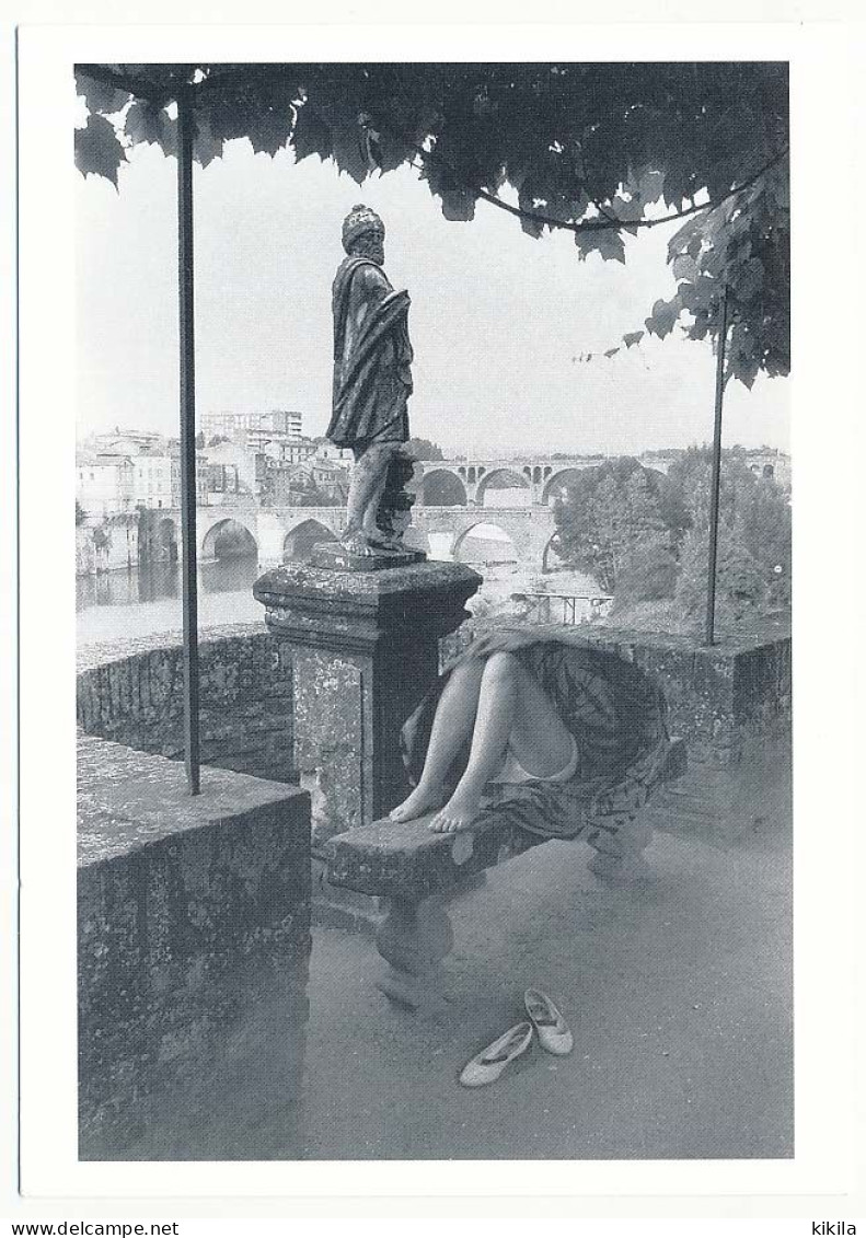 CPSM / CPM 10.5 X 15 Tarn ALBI  "Le Jardin Du Musée" 1984 Photographe Jean Dieuzaide (Yan) - Albi