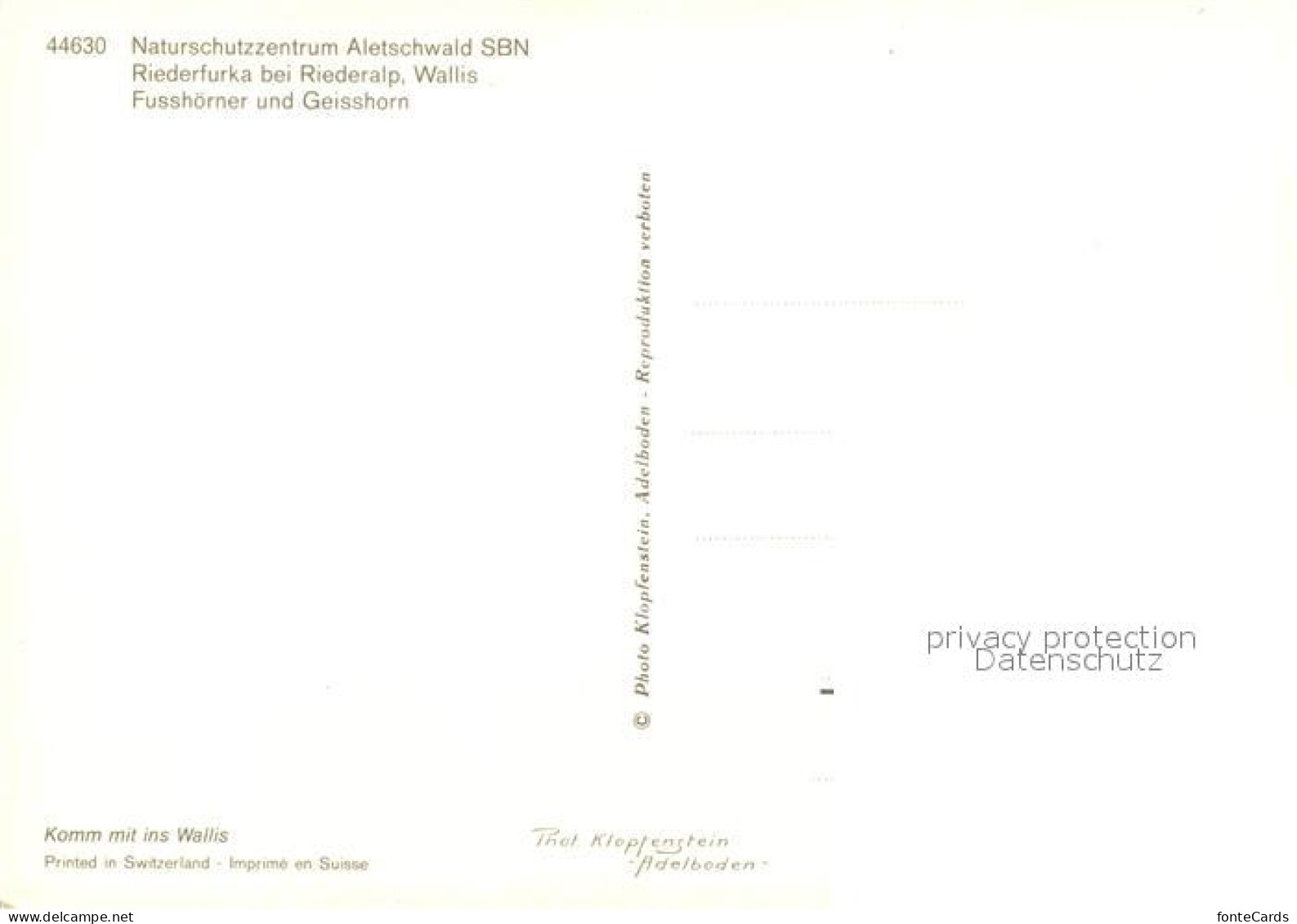 13187380 Riederfurka Hohfluh Naturschutzzentrum Aletschwald Fusshoerner Geisshor - Autres & Non Classés