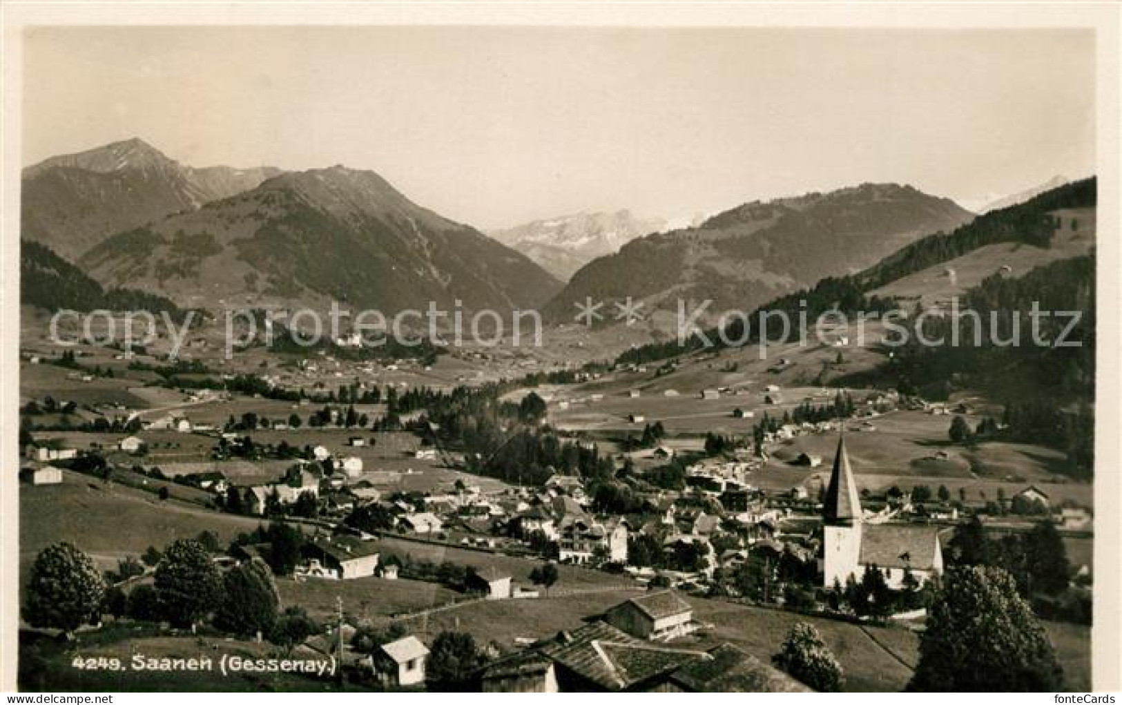 13186734 Saanen  Saanen - Other & Unclassified