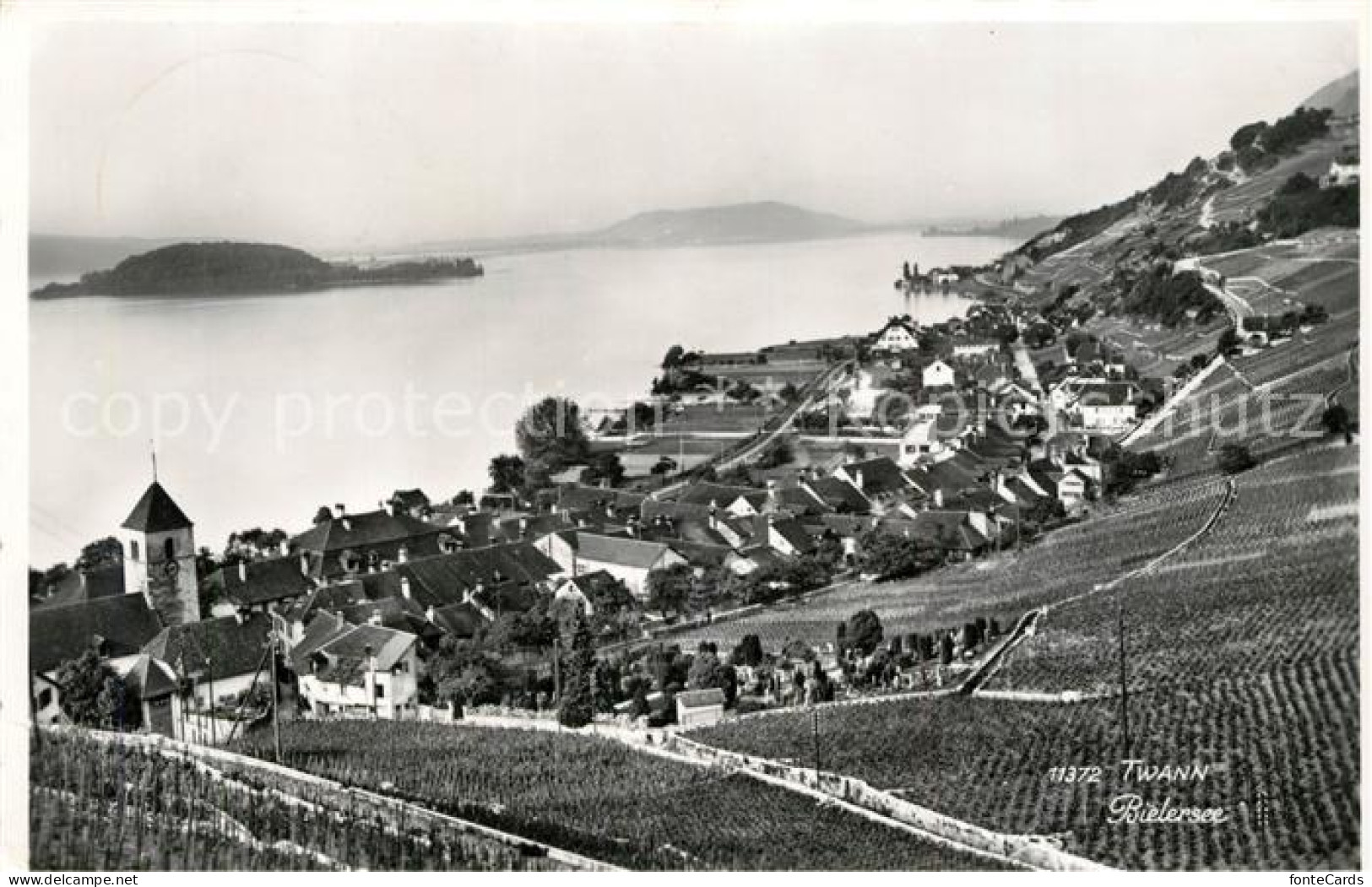 13184450 Bielersee Panorama Bielersee - Autres & Non Classés