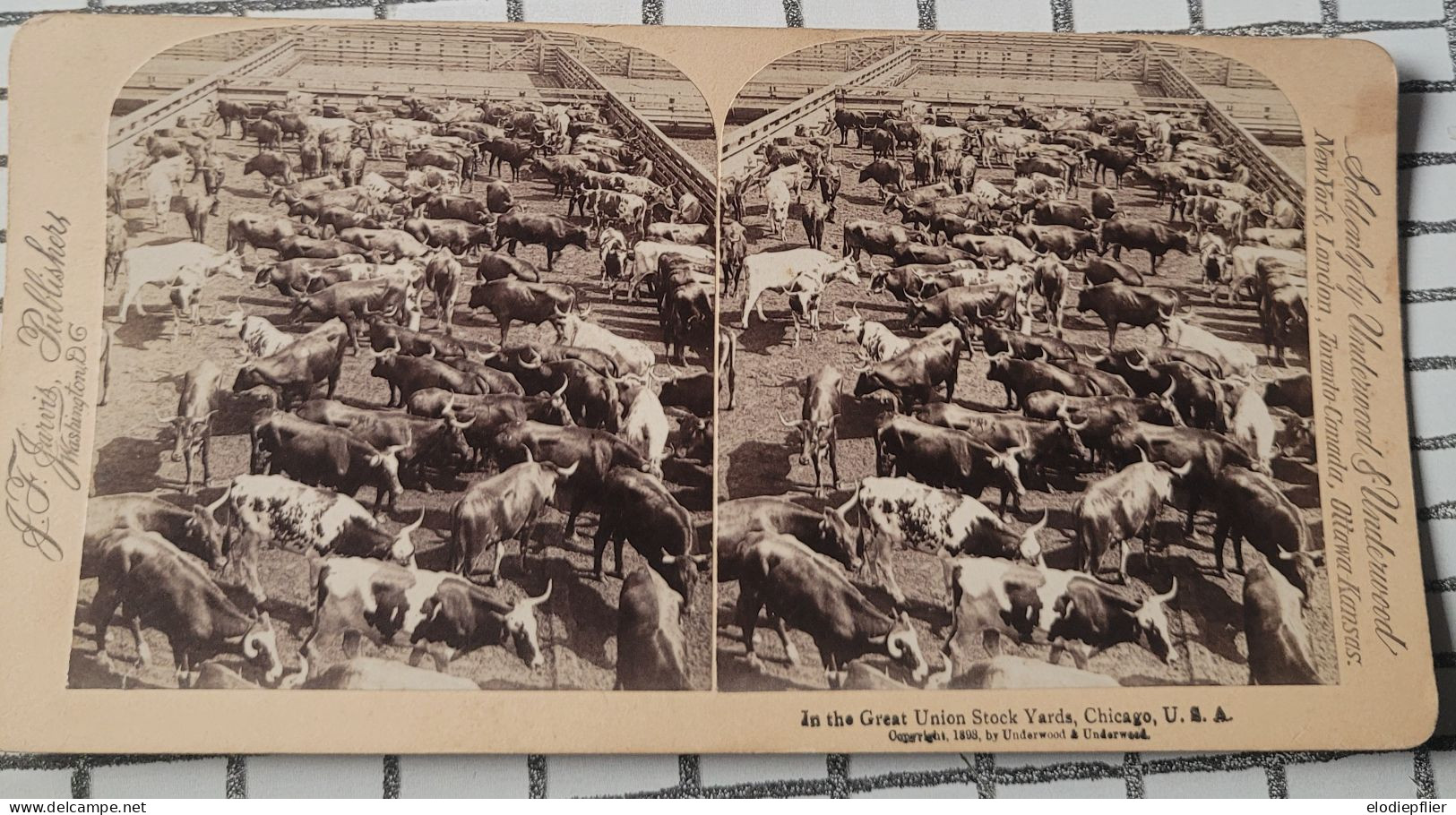 Dans Les Grandes Cours à Bestiaux De La Grande Union, Chicago, E.U  Underwood Stéréo - Stereoscopes - Side-by-side Viewers