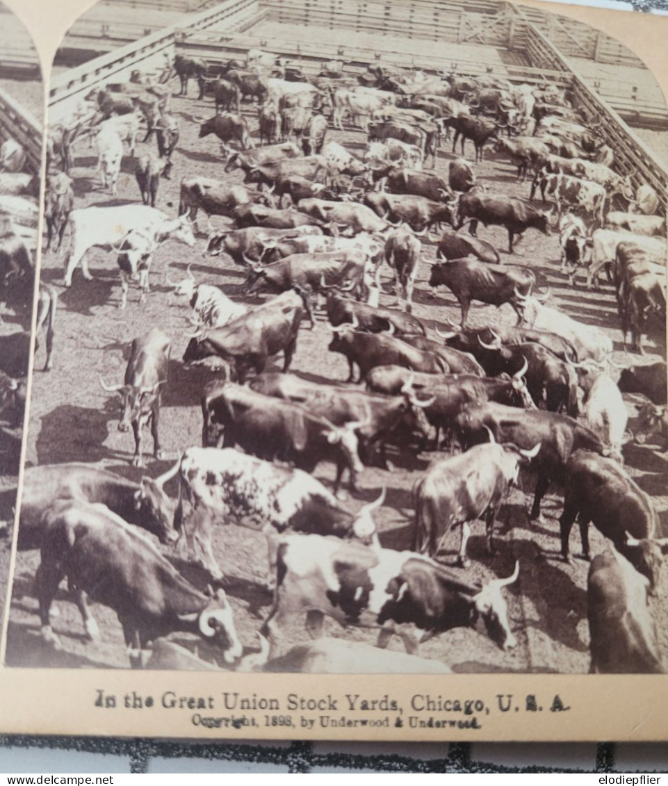 Dans Les Grandes Cours à Bestiaux De La Grande Union, Chicago, E.U  Underwood Stéréo - Stereoscopi