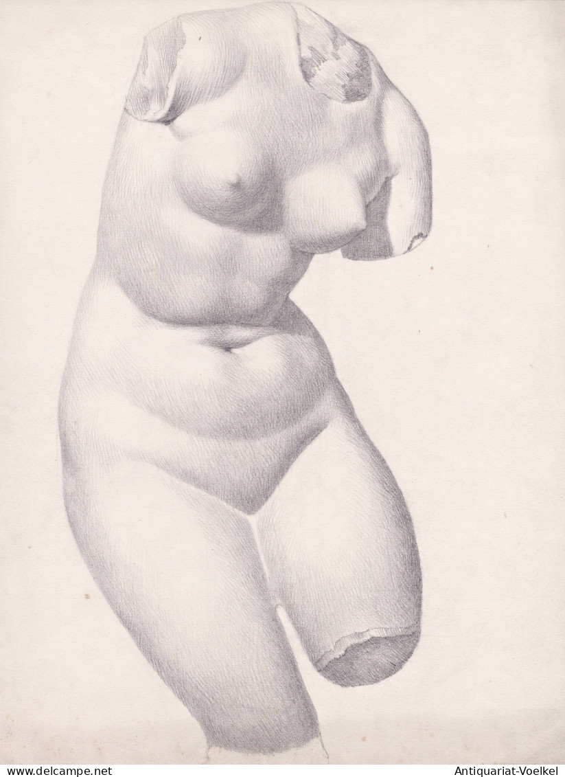 (nackter Frauentorso / Naked Woman Torso) - Akt Nude / Statue / Zeichnung Dessin Drawing - Prenten & Gravure