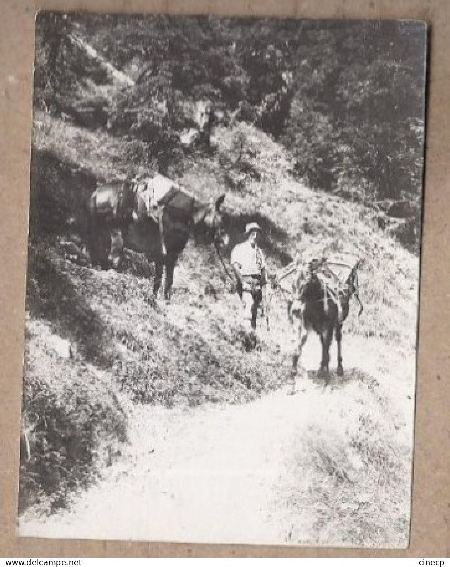 PHOTOGRAPHIE AUTRICHE - TYROL - WASSERTRÄGER Im TIROL - TB PLAN Randonneurs Avec Montures MULETS 1928 - Altri & Non Classificati