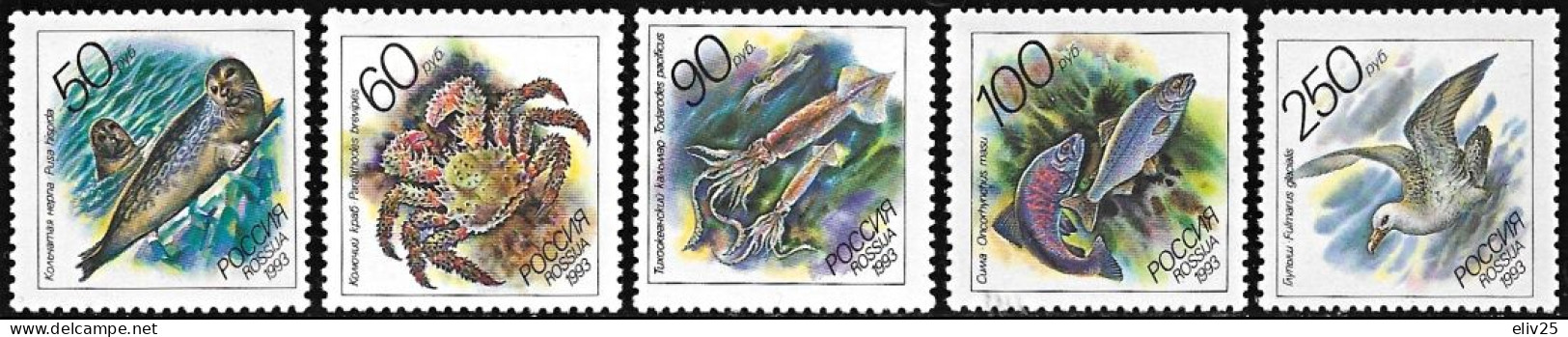 Russia 1993, Fauna Of The Russian Pacific - 5 V. MNH - Maritiem Leven