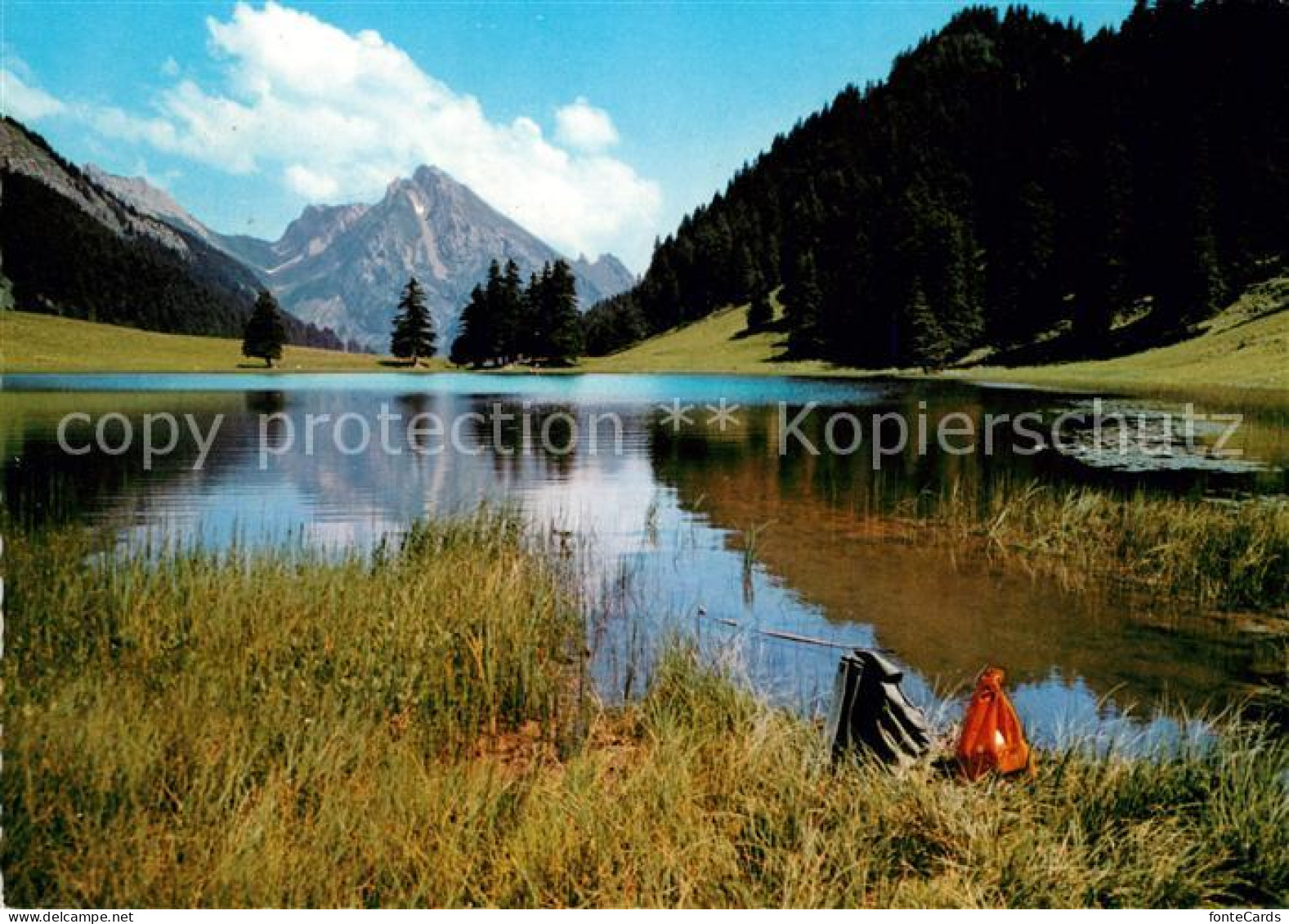 13164564 Obertoggenburg Graeppelensee Wildhauser Schafberg Obertoggenburg - Altri & Non Classificati