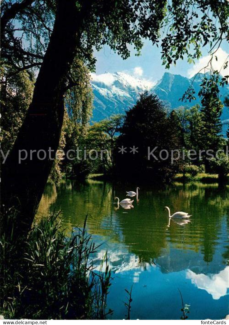 13164282 Bad Ragaz Giessensee Mit Falknis Bad Ragaz - Andere & Zonder Classificatie