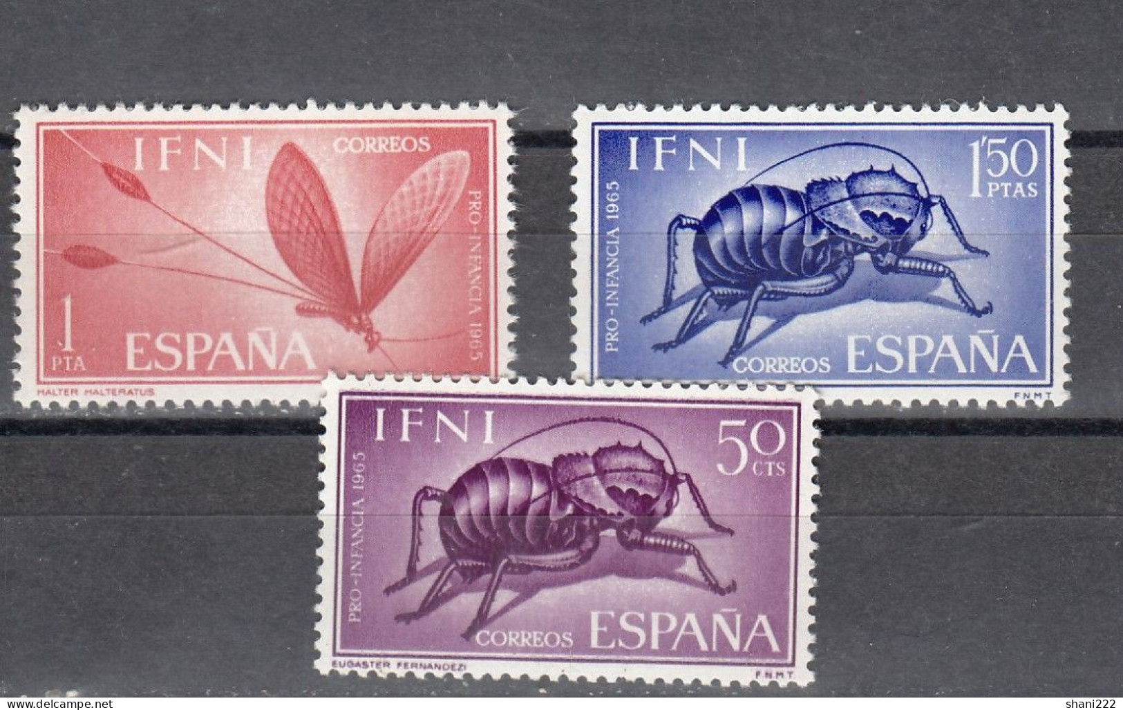 Ifni - 1965  -  Pro Infancia - Insects - MNH Set (e-838) - Ifni