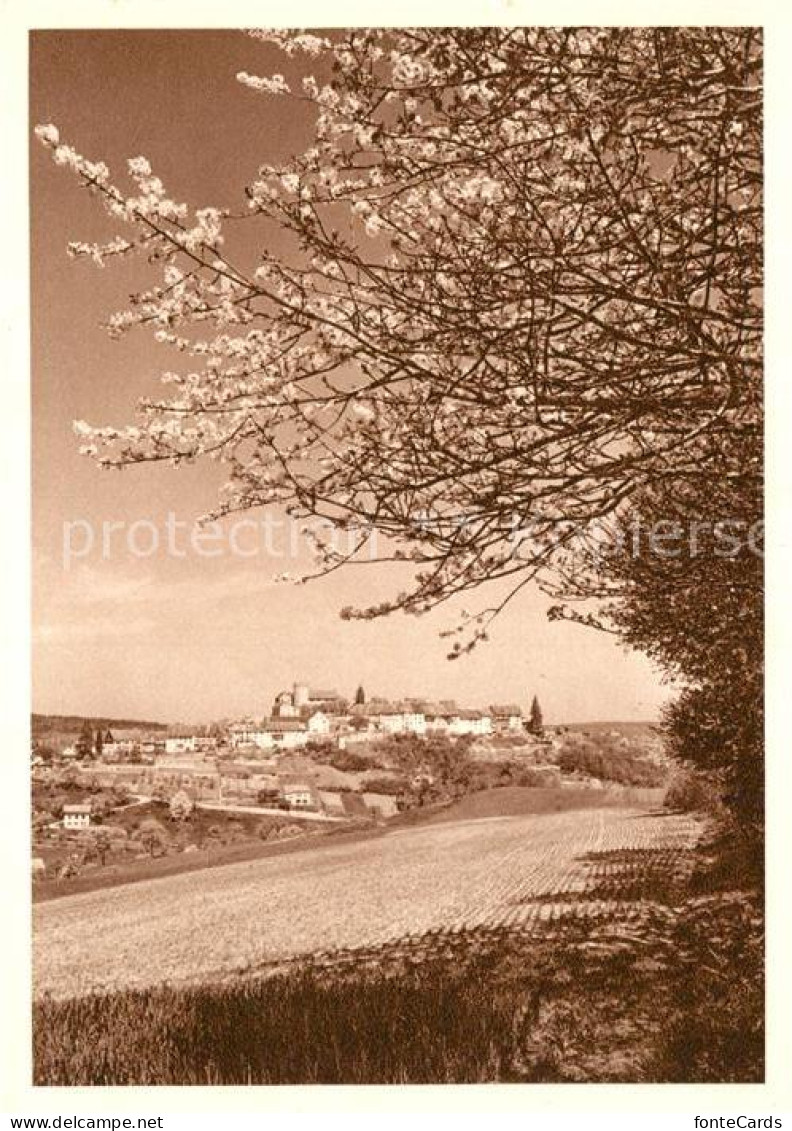 13162470 Regensberg Dielsdorf Blaukreuzjugendwerk Regensberg Dielsdorf - Andere & Zonder Classificatie