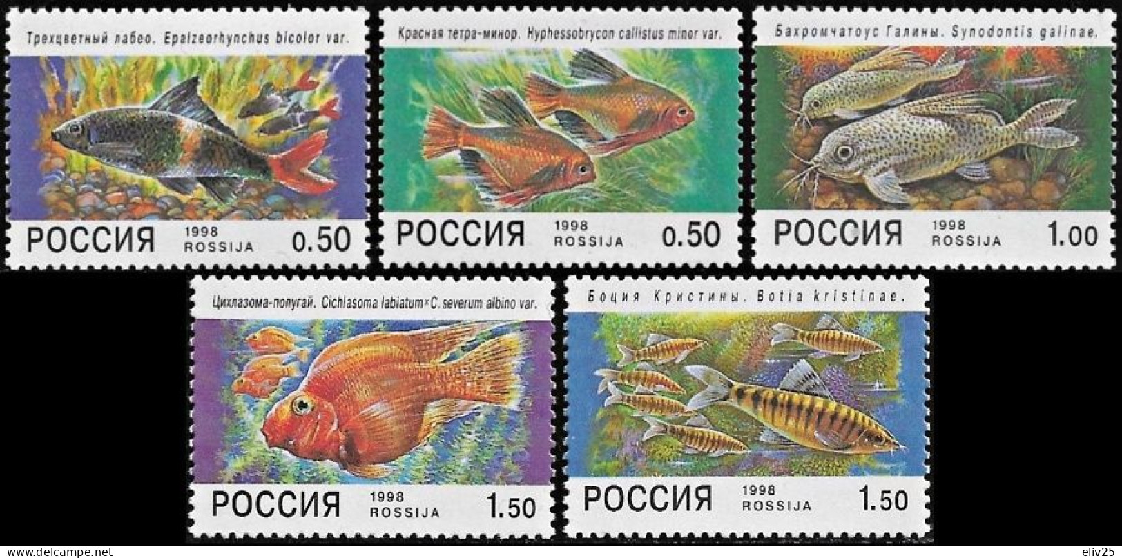 Russia 1998, Ornamental Fish - 5 V. MNH - Vissen
